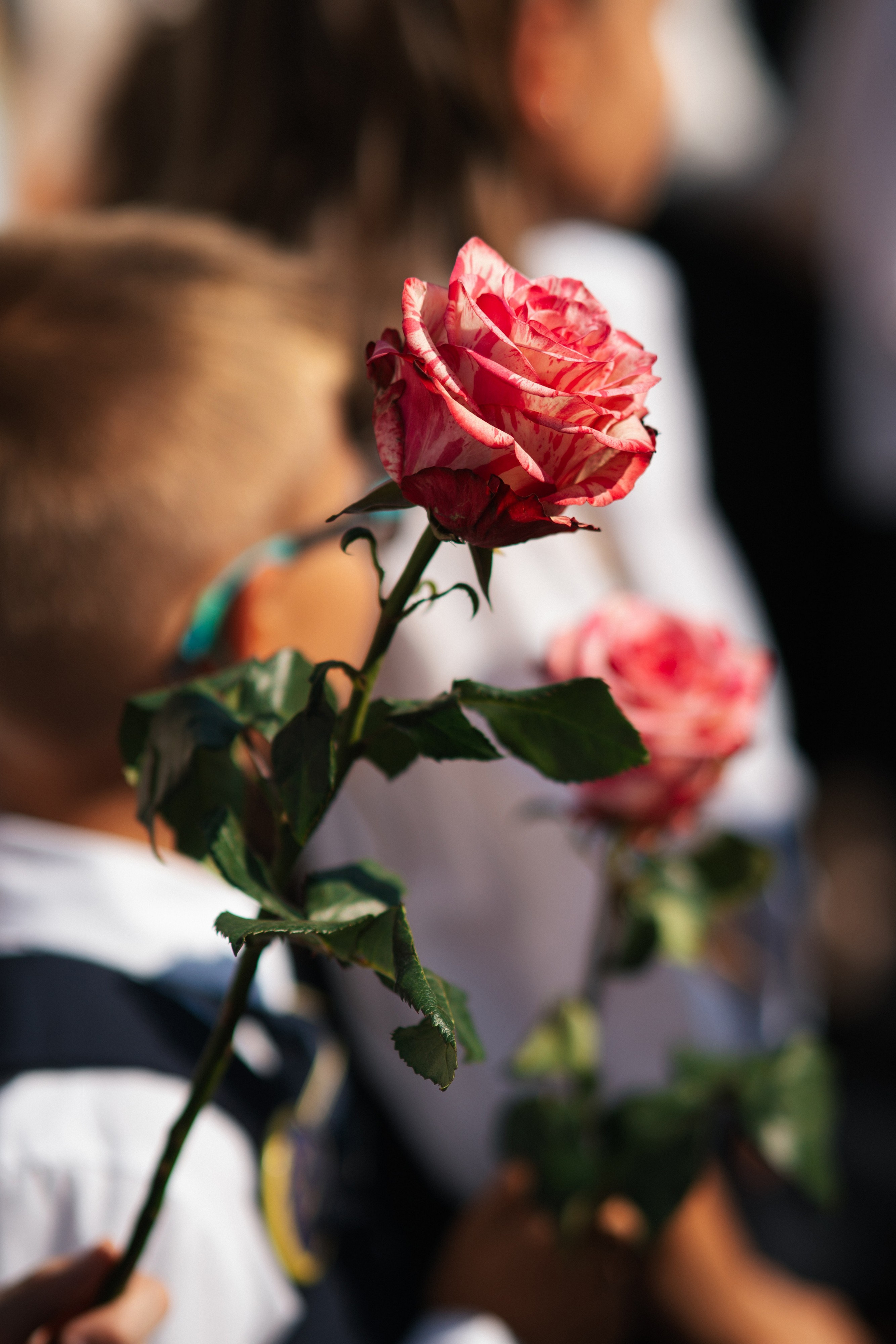 1 сентября | Школа им. Басова. Фотограф в Воронеже Ольга Космодемьянская