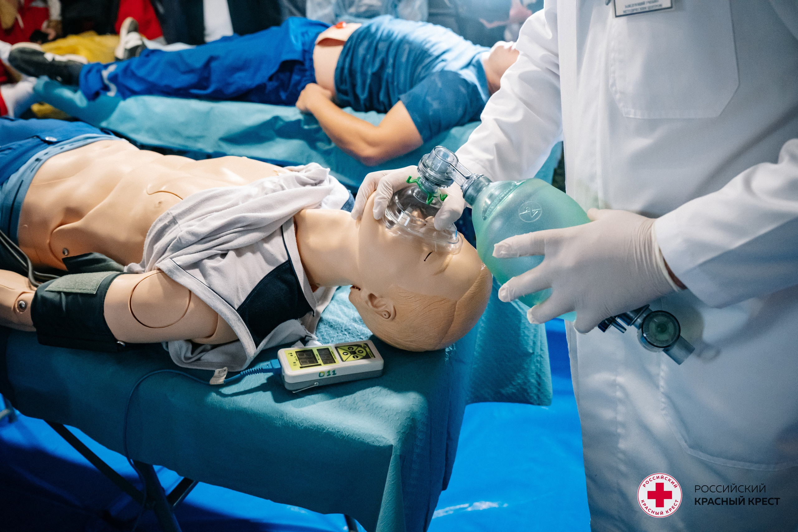 Красный крест | Дегас, медвежья берлога. Фотограф в Воронеже Ольга Космодемьянская