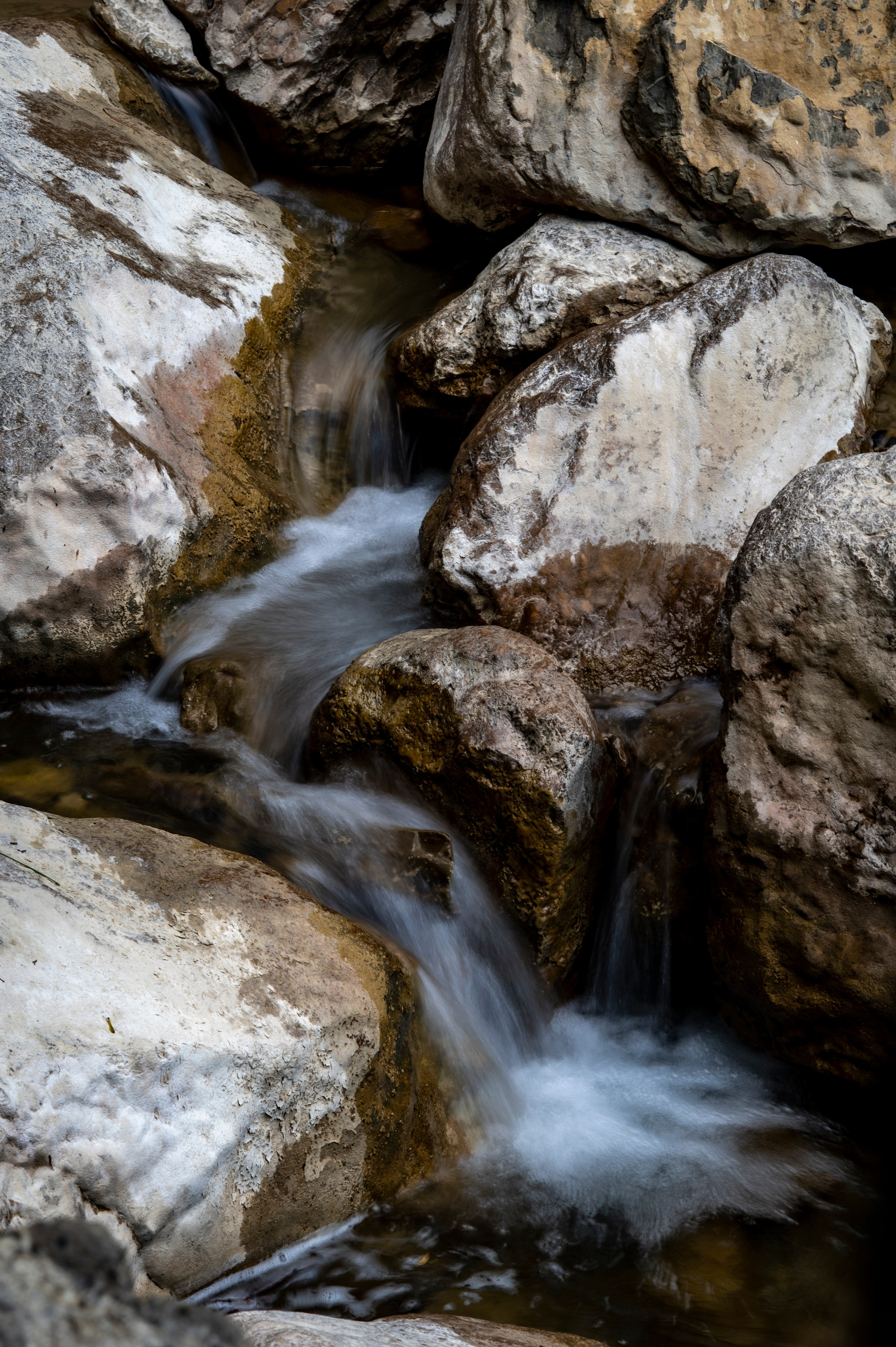 Крым май 2022. Фотограф Роман Адлер