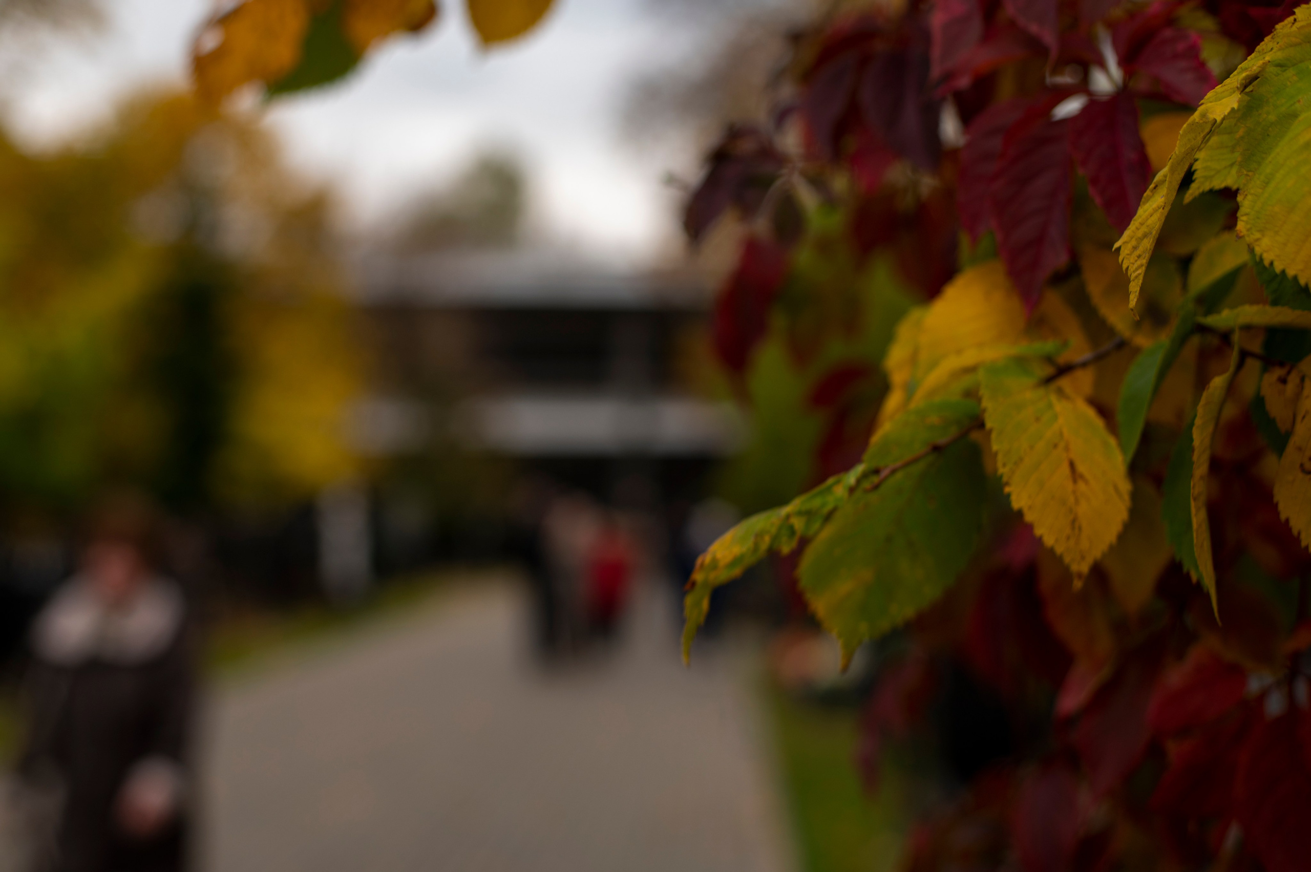 Ваганьковское кладбище. Фотограф Роман Адлер