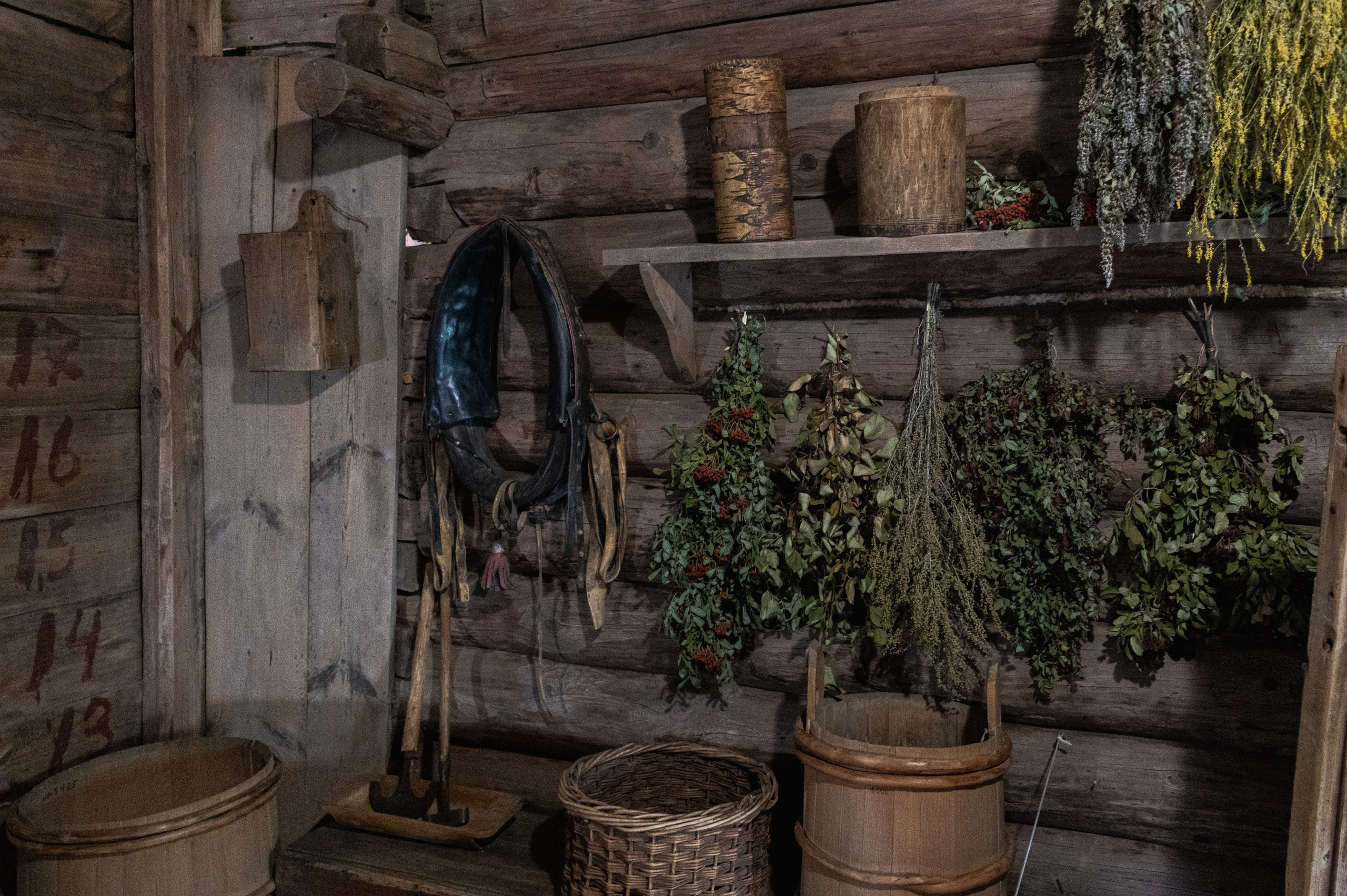 Суздаль. Май 2023. Фотограф Роман Адлер