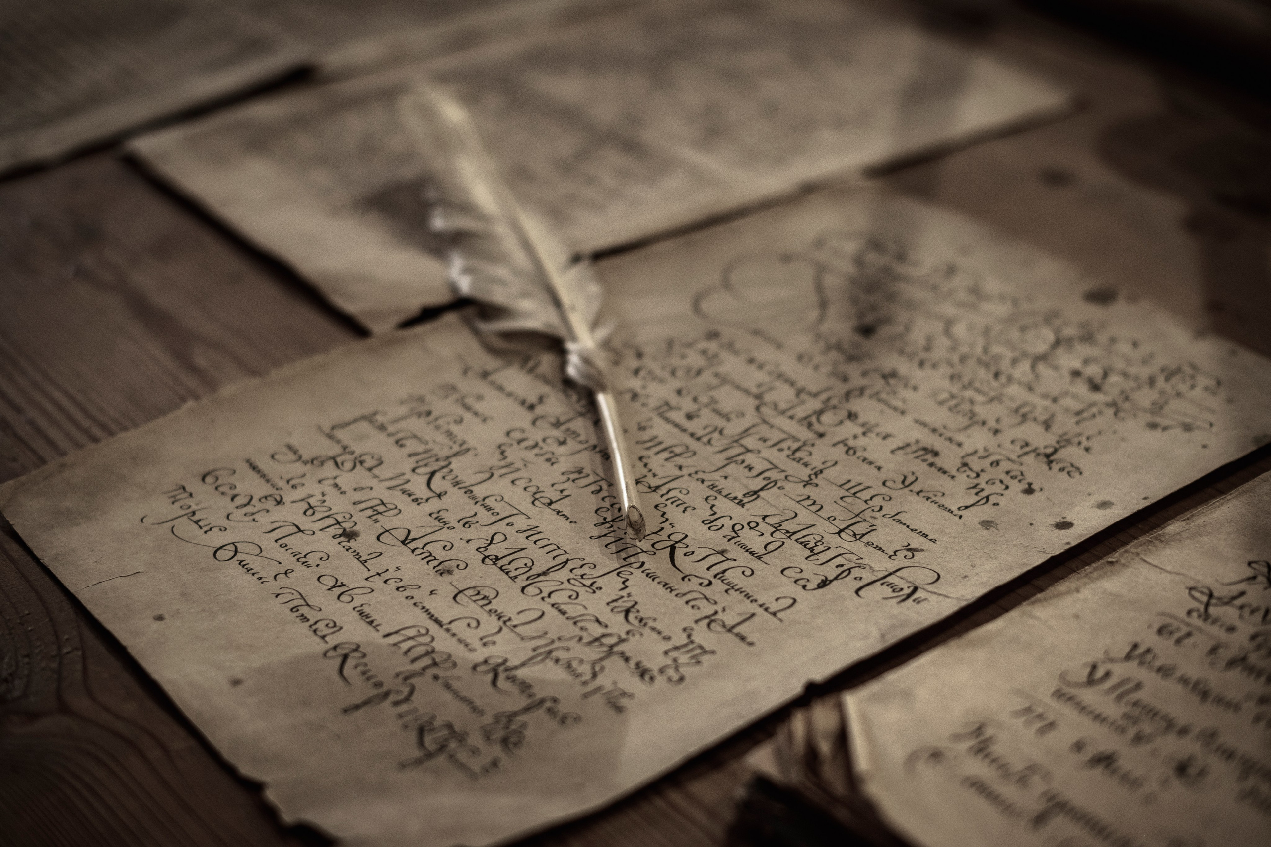 Псков. Октябрь 2023. Фотограф Роман Адлер