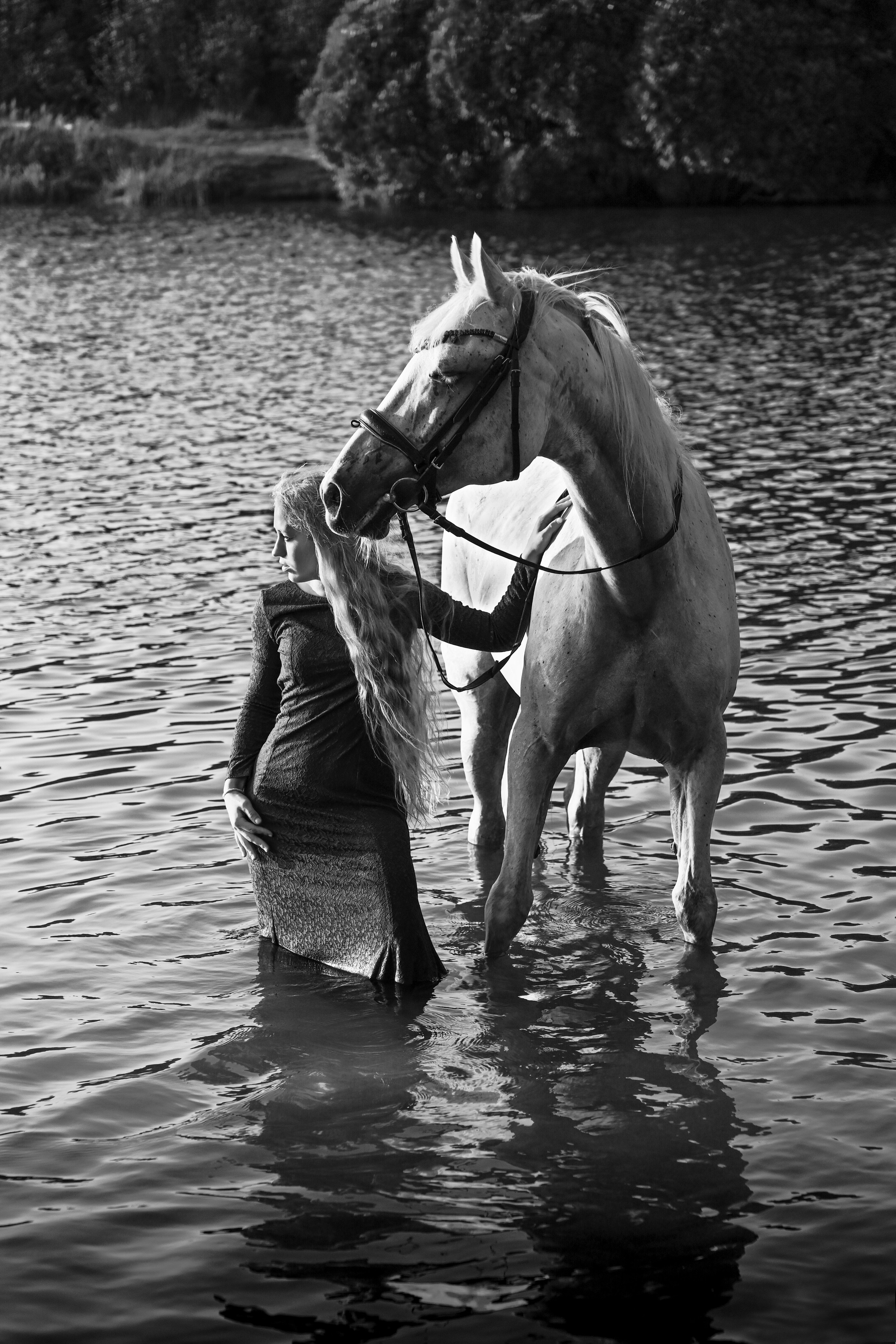 Конные портреты. Фотограф Зноева Ирина (Gvenya)