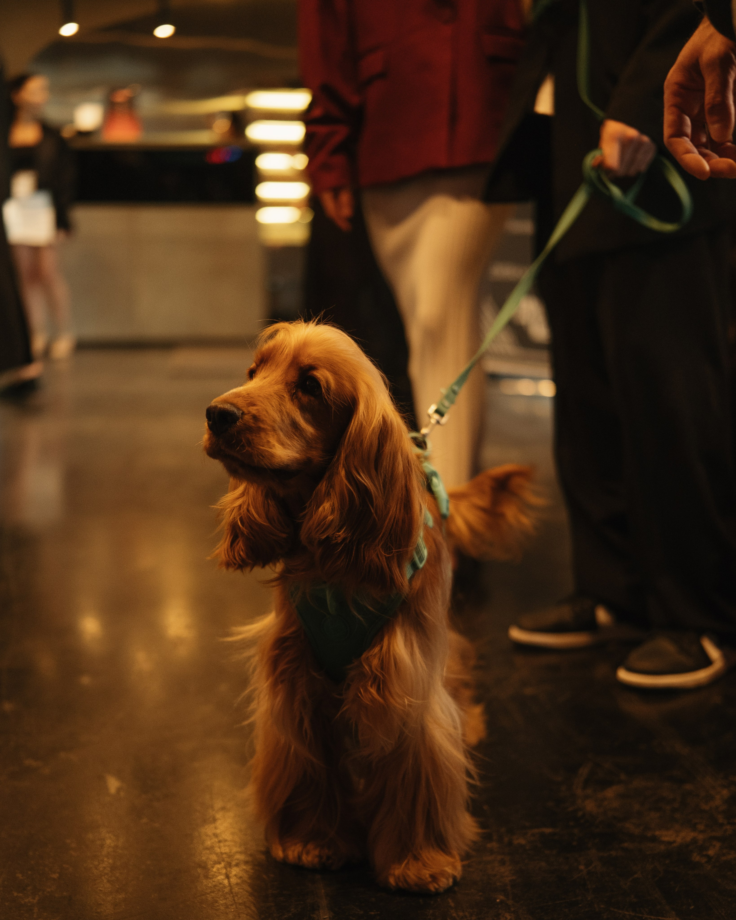 RedLockers: Открытый Микрофон. Обо мне