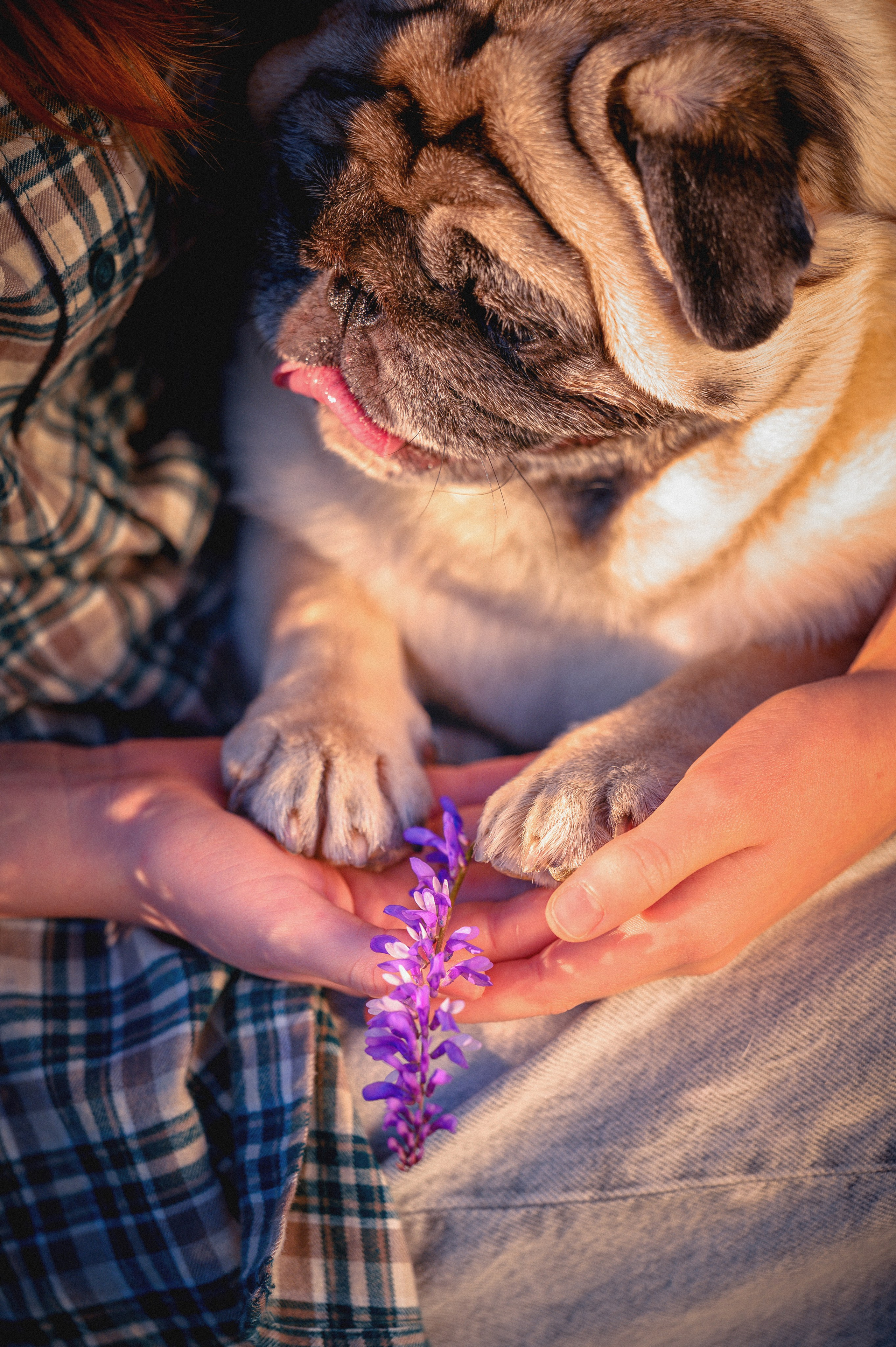 Весенняя прогулка. Фотограф в Ростове —на — Дону