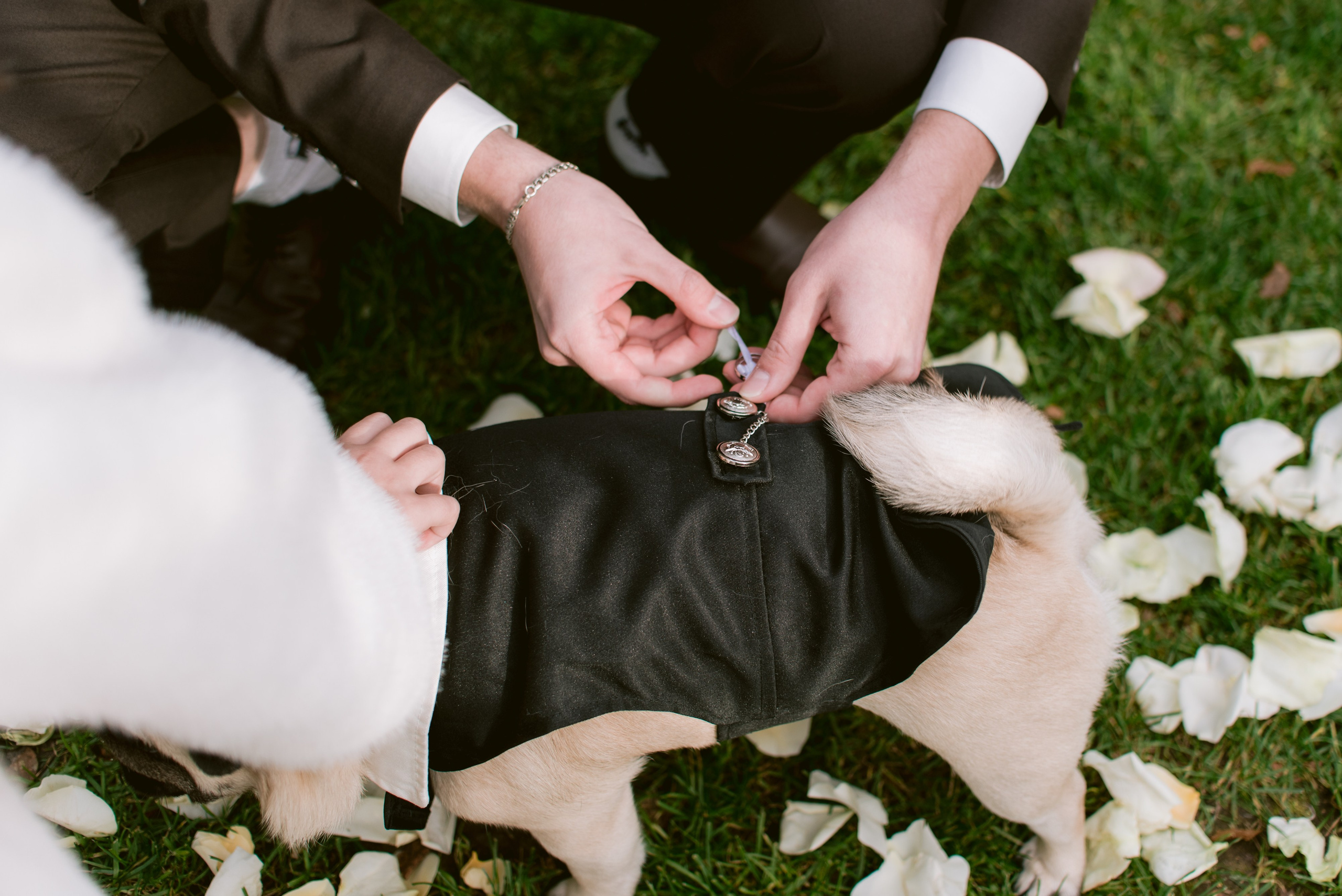 Осень, свадьба, любовь. Свадебный фотограф Ижевск/Сарапул Анастасия Бель