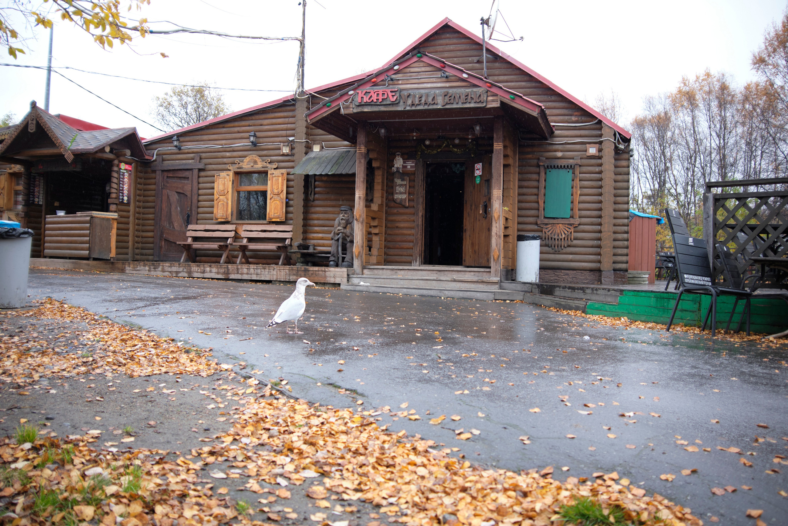 Поездка в Мурманск. Заметки и фото. Елена Павленко. Фотограф. Москва