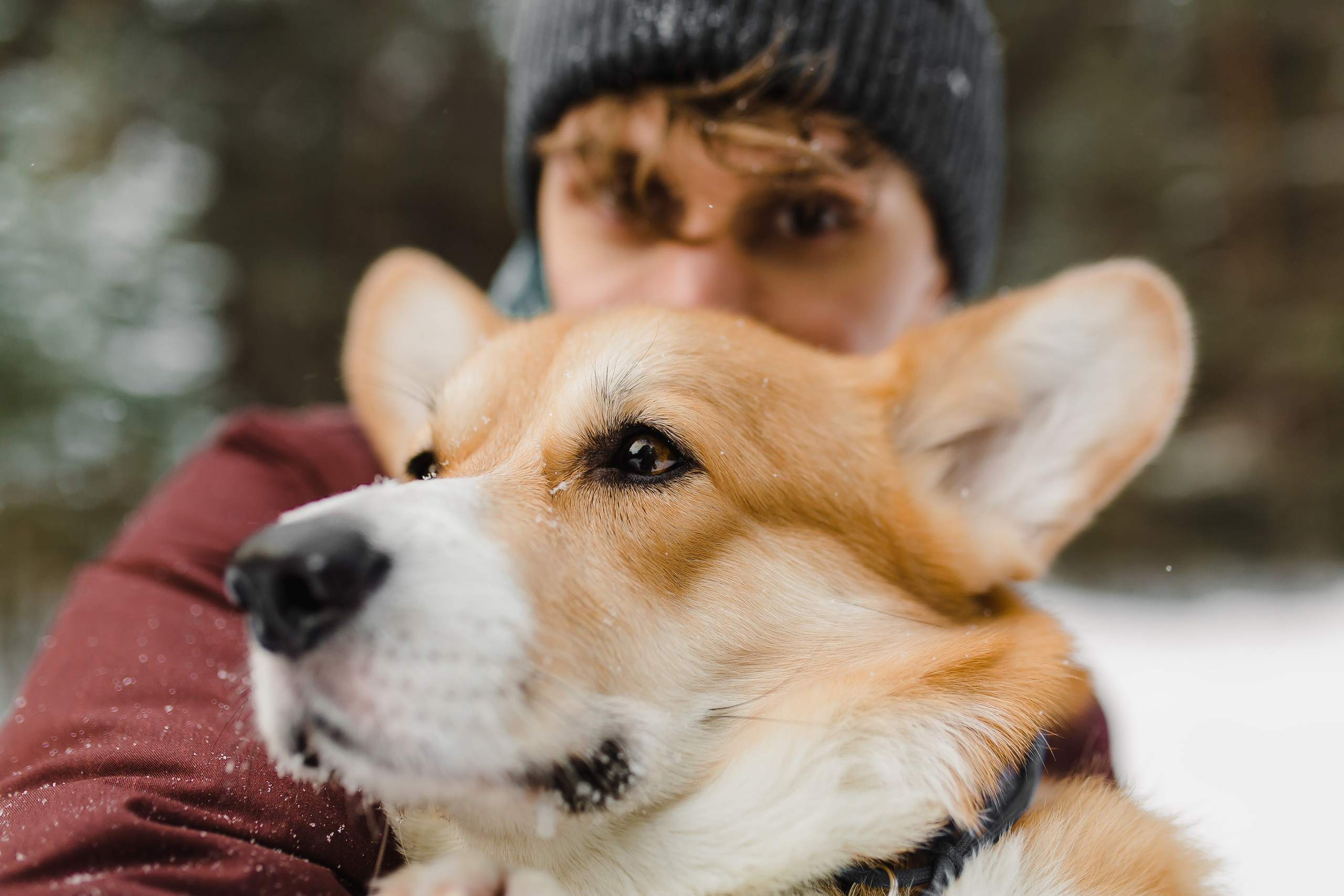 Дима и Даша. Свадебный и семейный фотограф в Томске Алексей