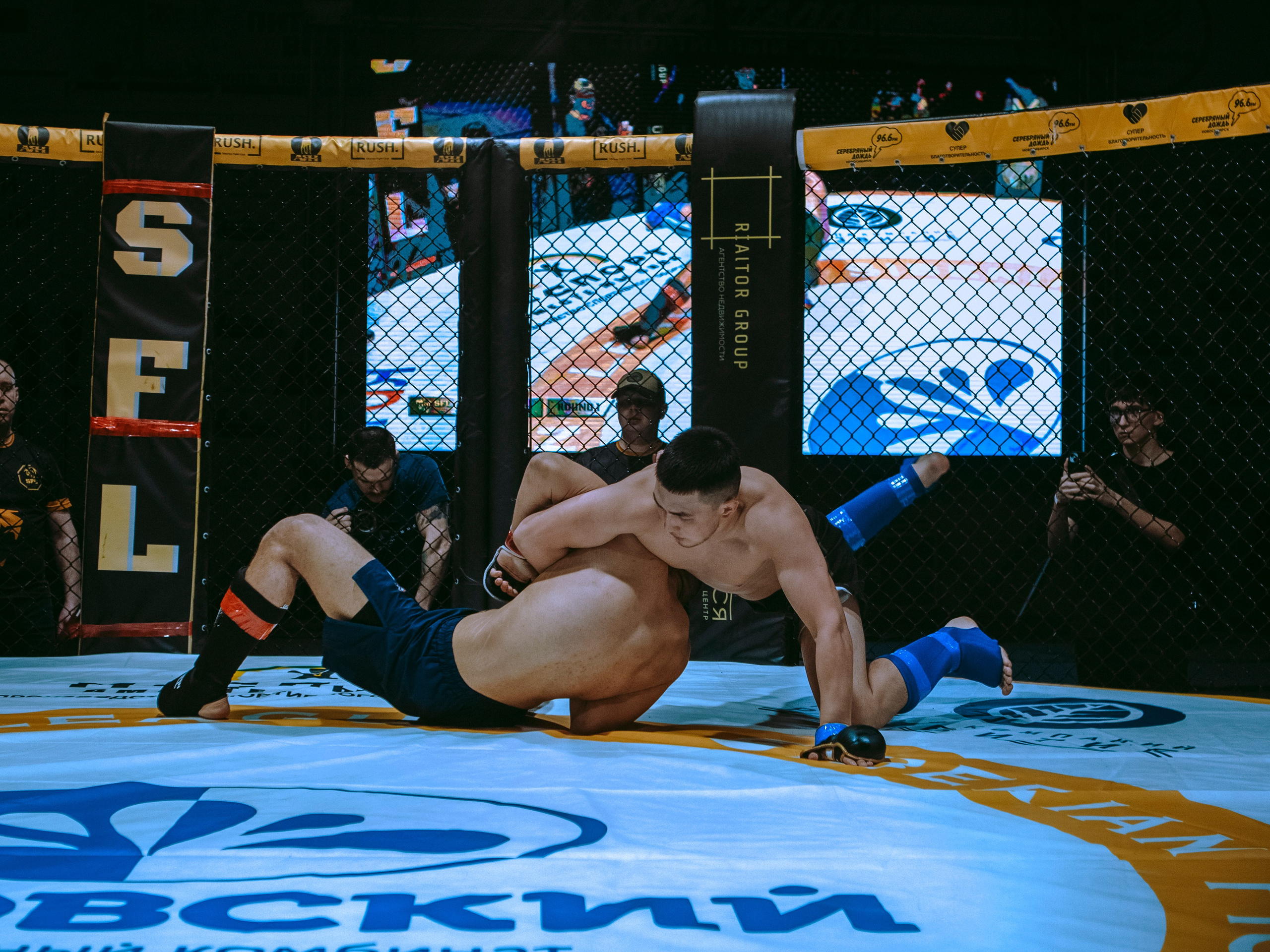SFL 17 | Siberian Fighting League. Портретный фотограф в Москве Дарья Цезария