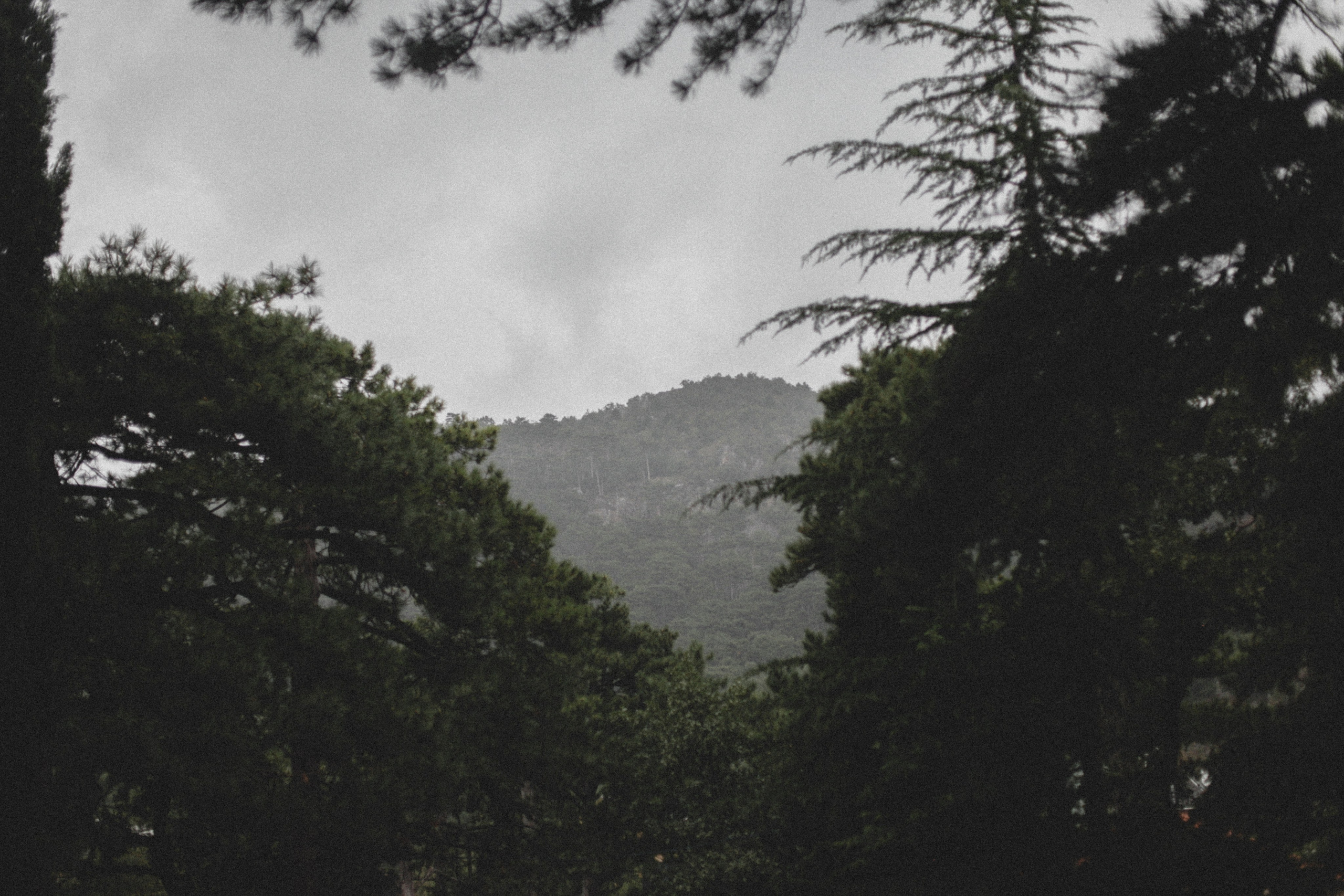 Свадьба в Паласе. Фотограф в Севастополе и Крыму Артем Волобуев