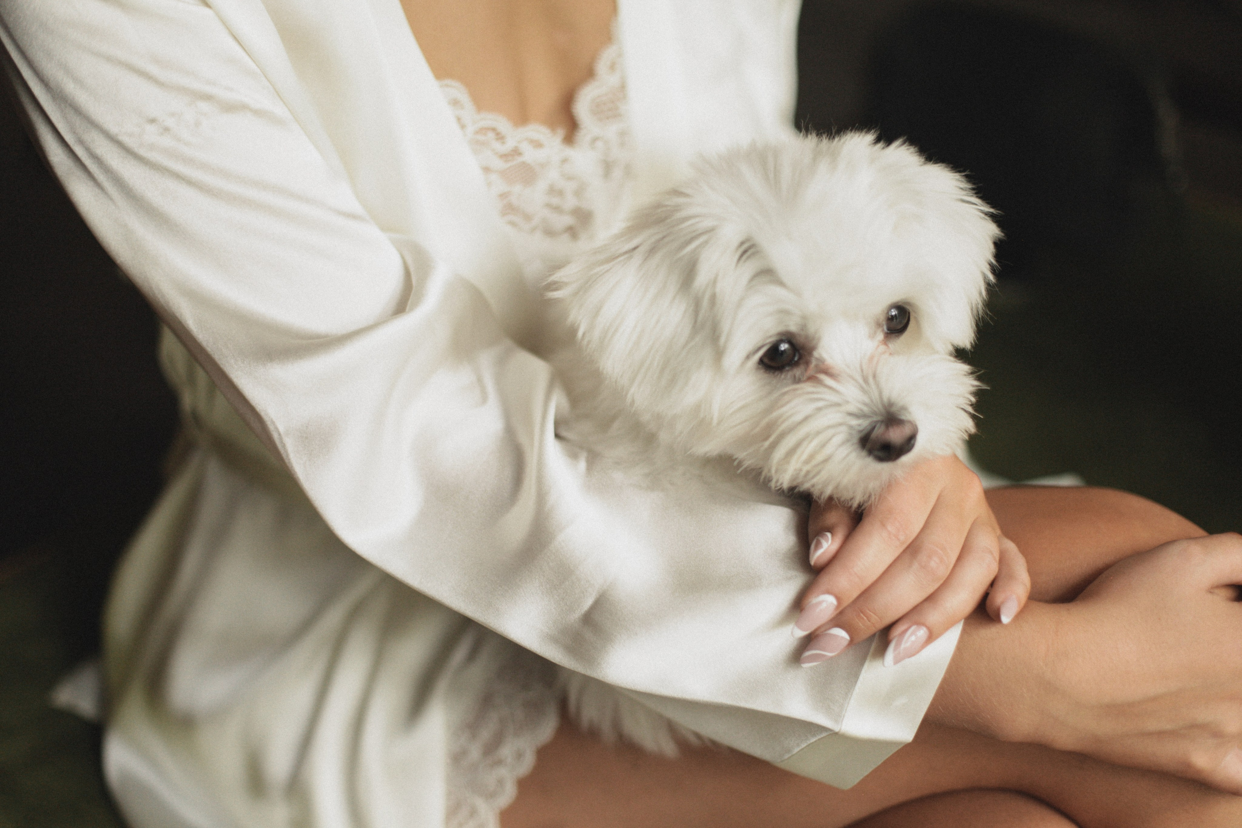 Свадьба в Паласе. Фотограф в Севастополе и Крыму Артем Волобуев
