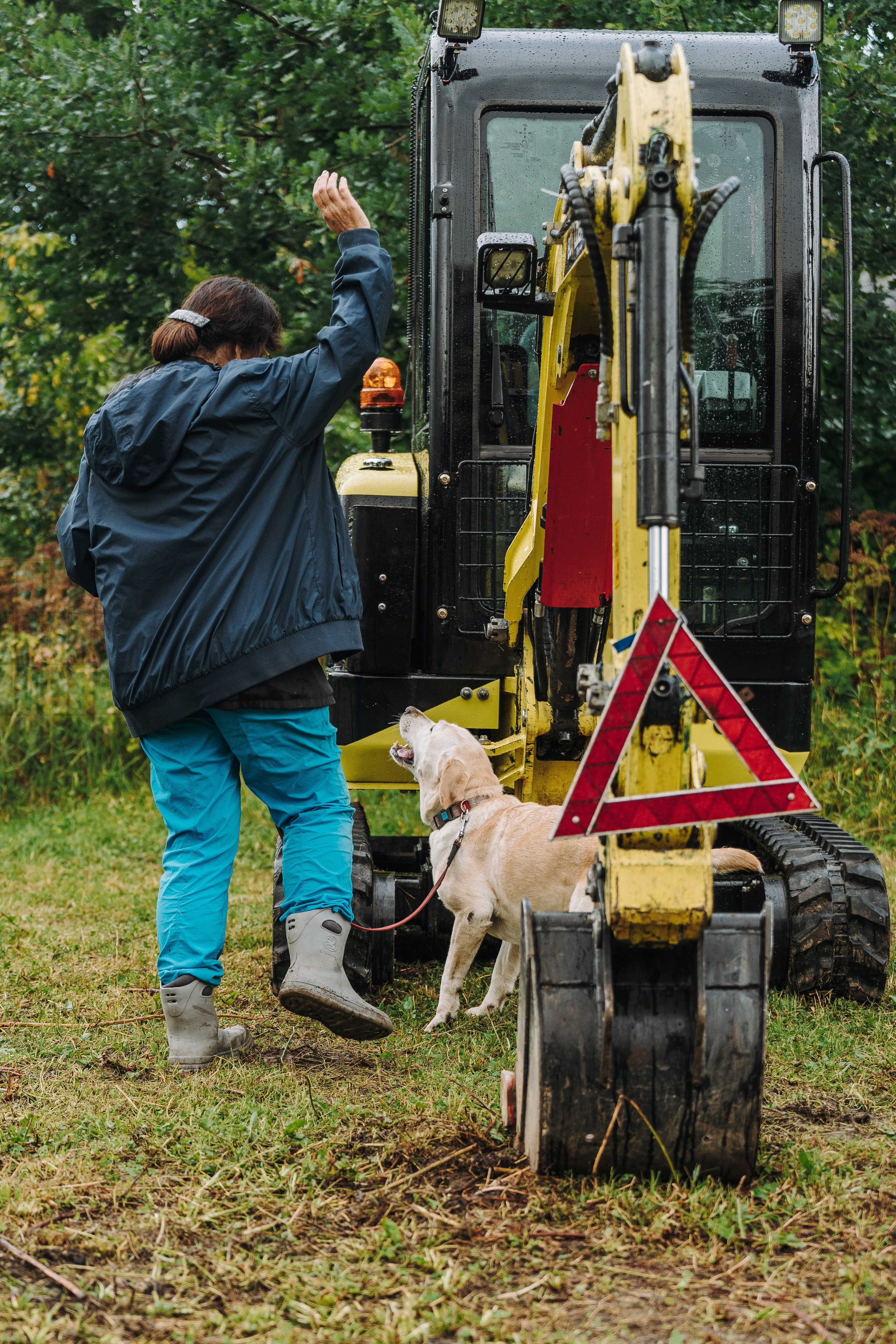 Соревнования по ноузворку в Новожилово. Фотограф анималист в Спб недорого Олеся Майорова