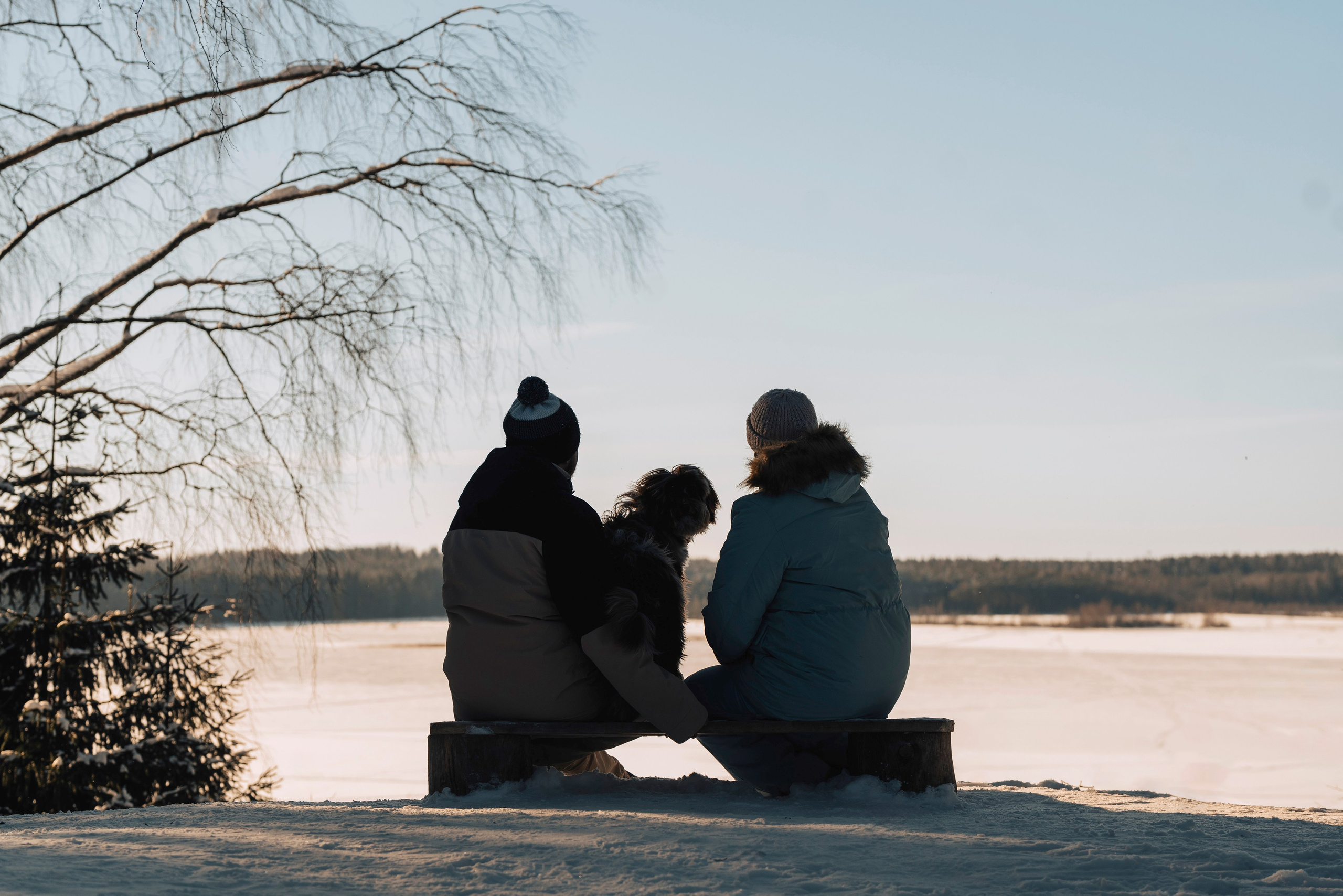 Хэйзел и её семья. Фотограф анималист в Спб недорого Олеся Майорова