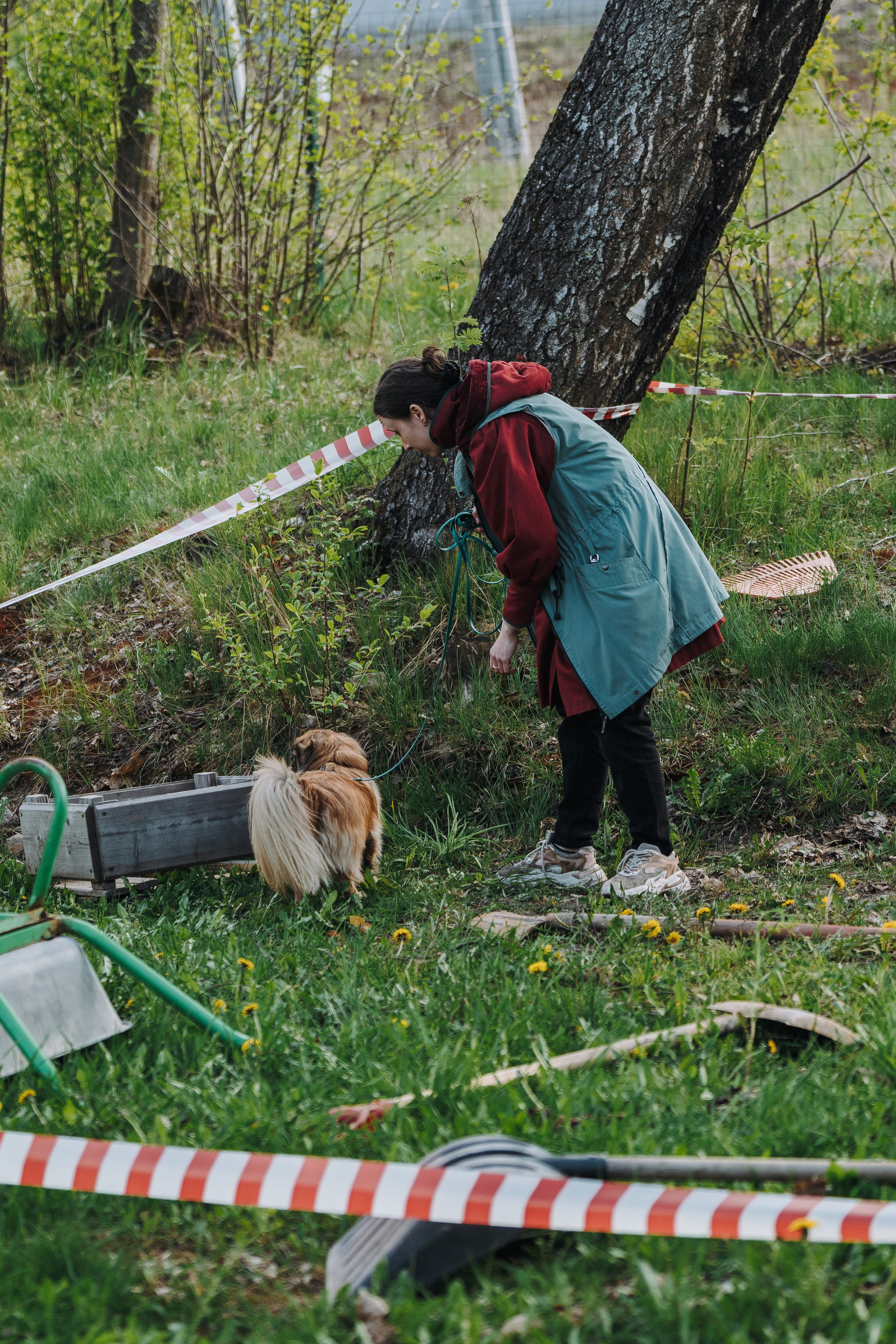 Соревнования по ноузворку в Лосево. Фотограф анималист в Спб недорого Олеся Майорова