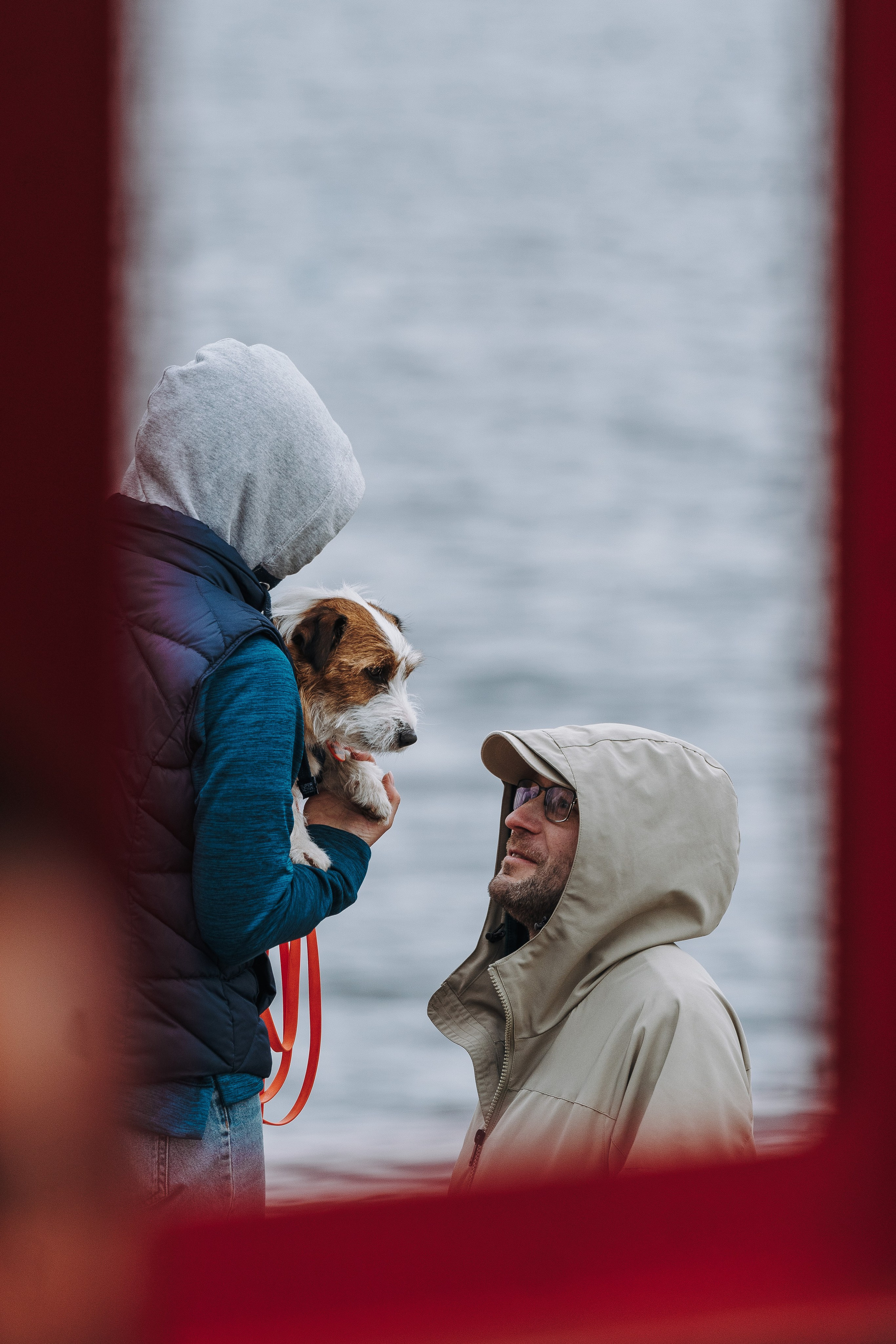 Соревнования по ноузворку в Лосево. Фотограф анималист в Спб недорого Олеся Майорова