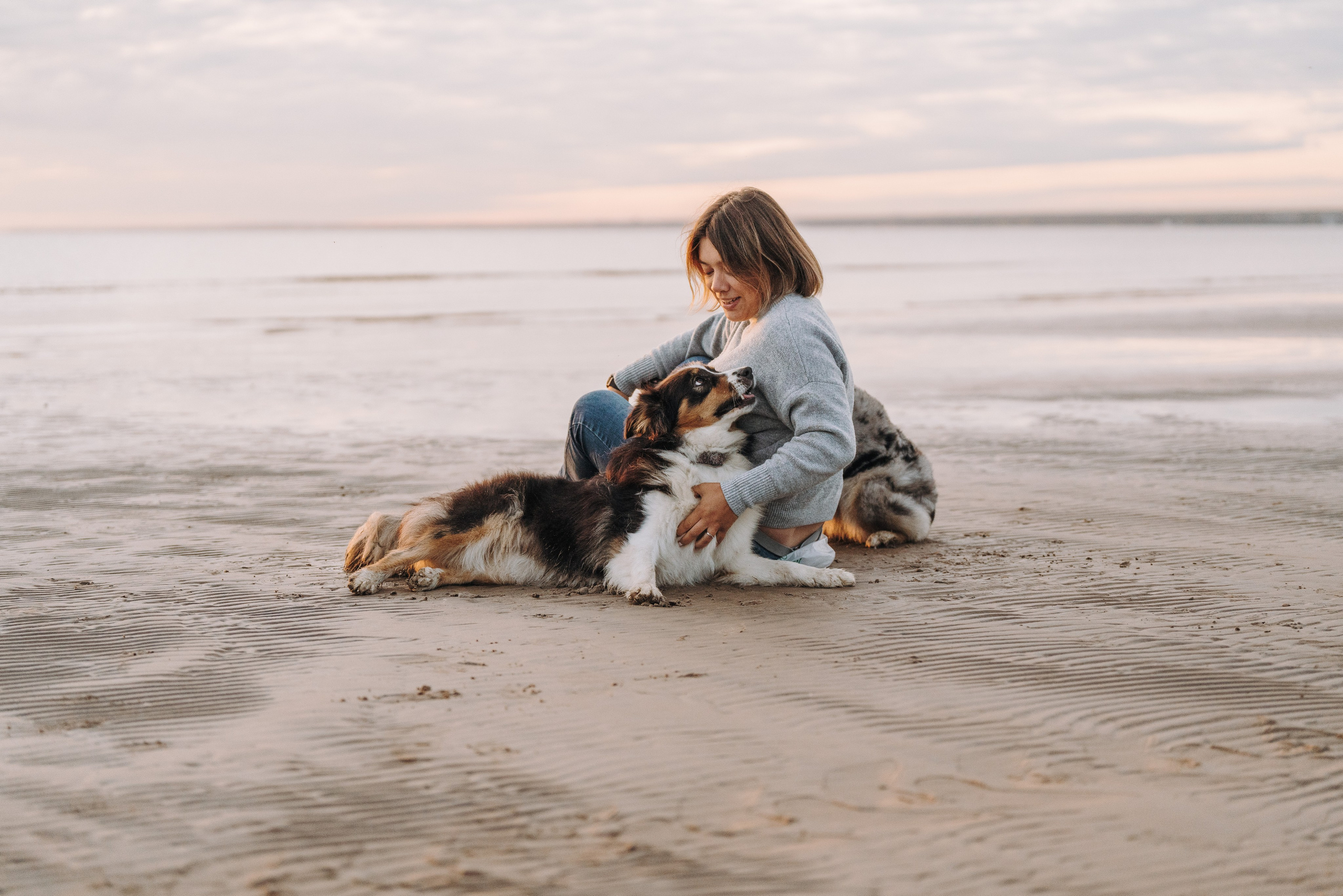 Фотограф анималист в Спб. Фотограф анималист в Спб недорого Олеся Майорова
