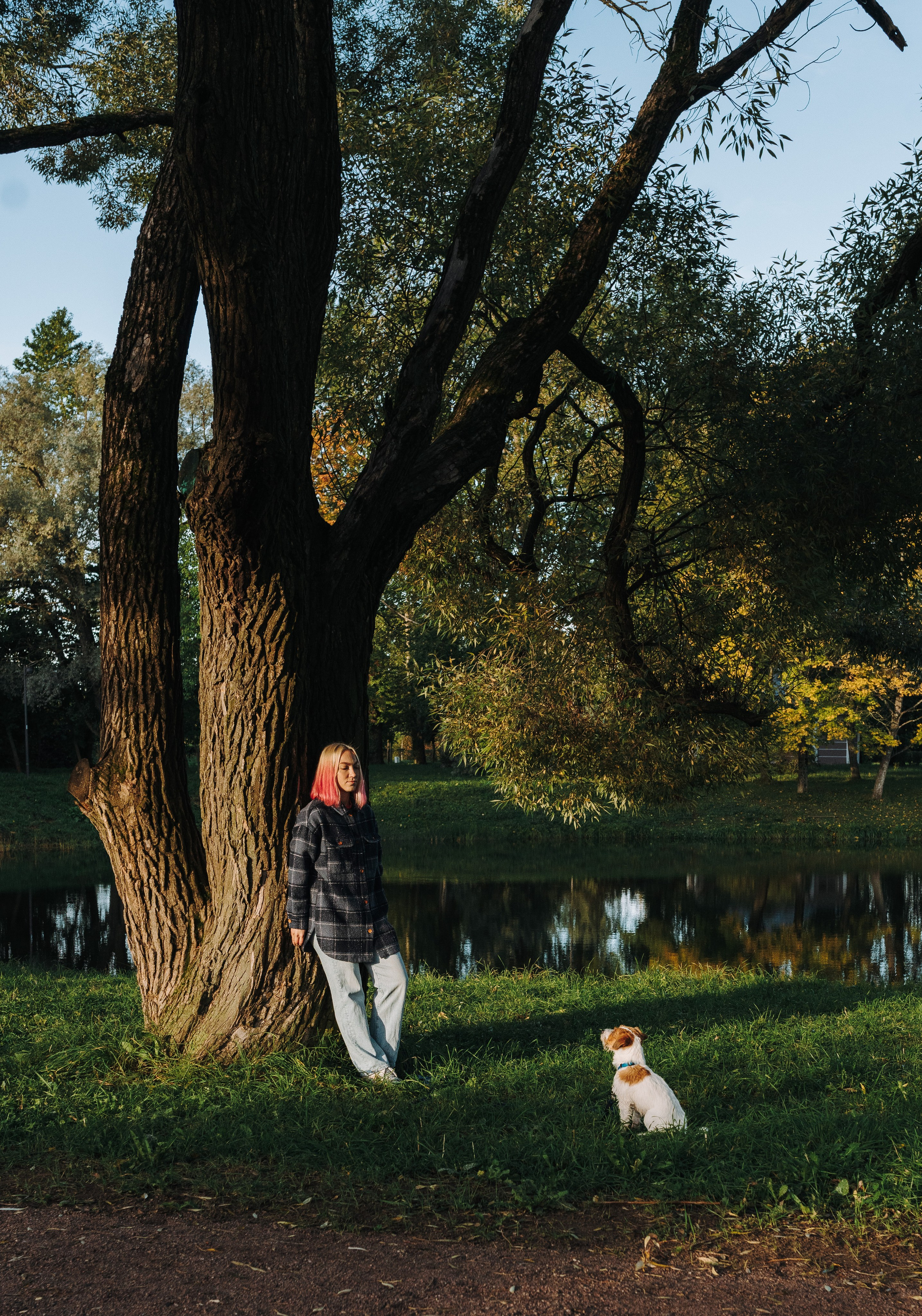 Фотосессия с маленькой собакой Спб. Фотограф анималист в Спб недорого Олеся Майорова