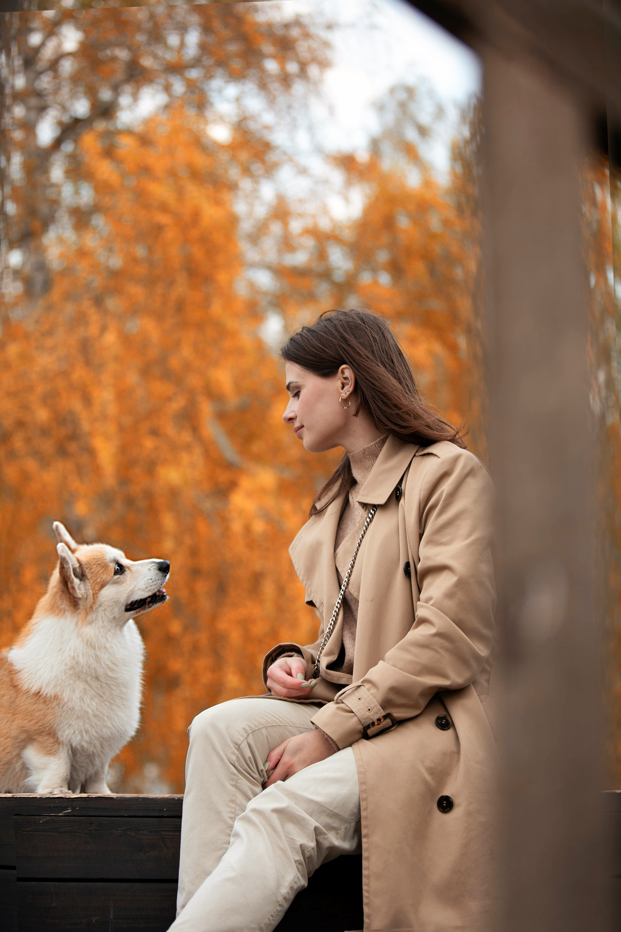 Выездная съёмка с естественным светом. Фотограф-анималист в Омске Екатерина Маричева