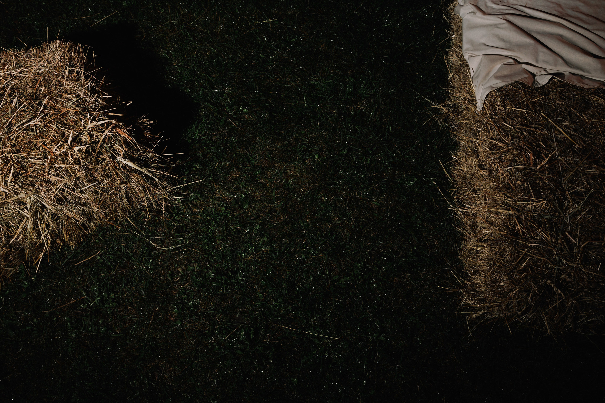 Artem & Viktoria. Wedding and family photographer in Moscow