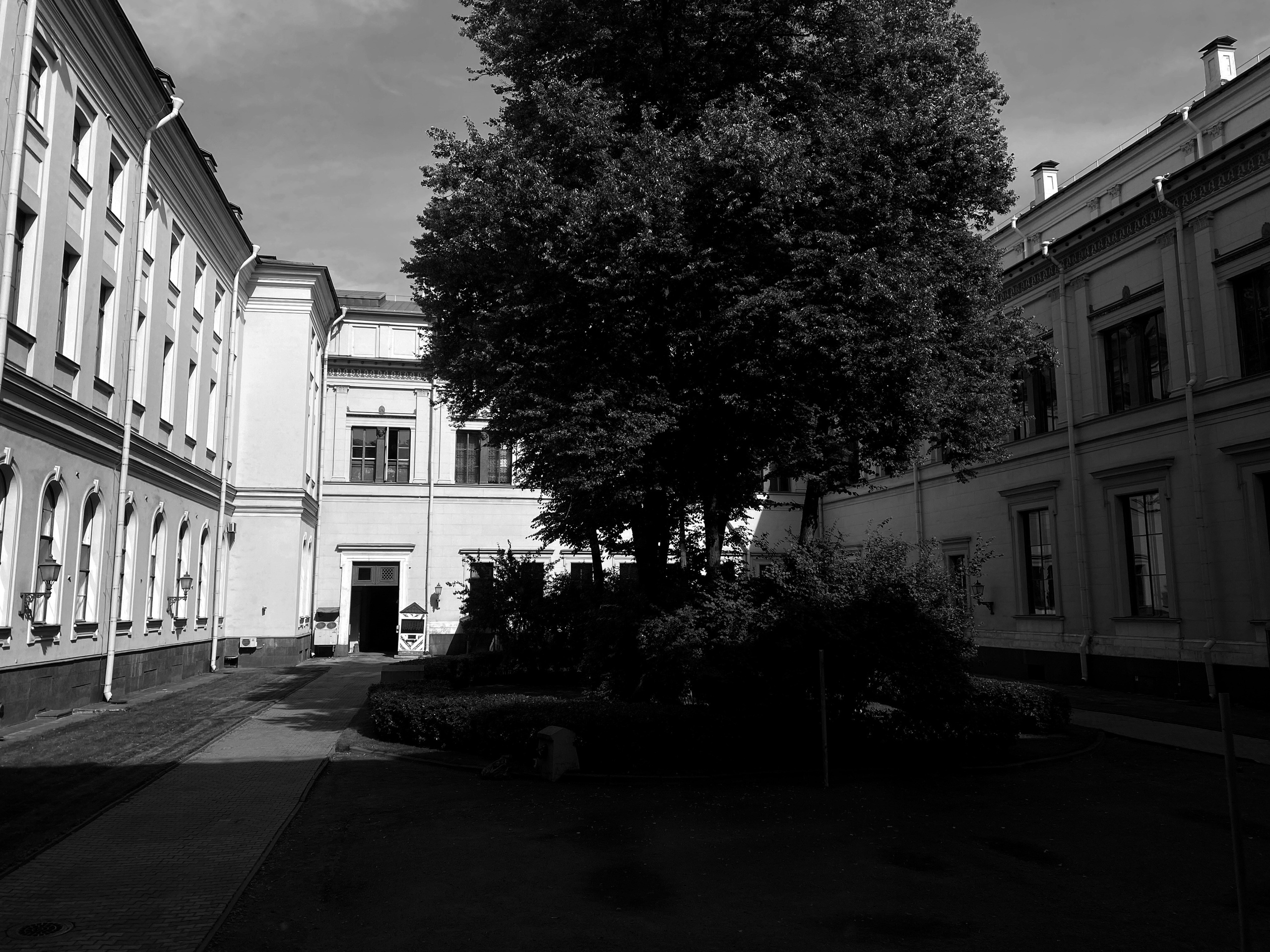 Эрмитаж на айфон. Портретный фотограф DanilNabody