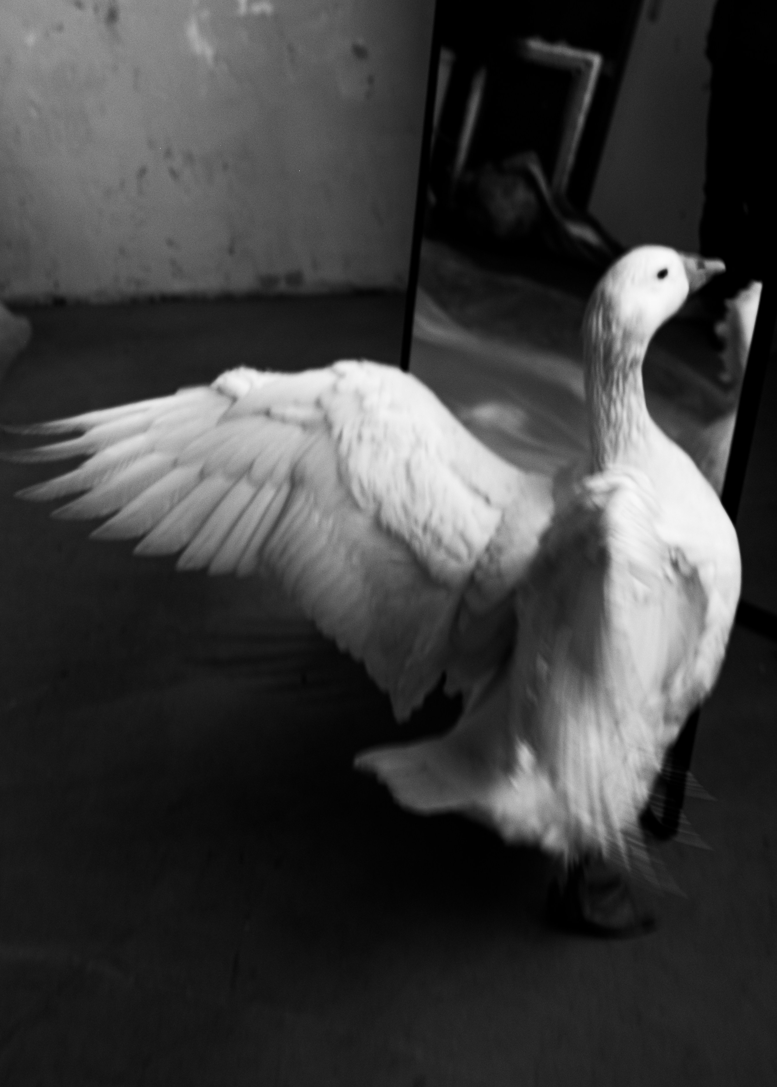 Питер Разное. Портретный фотограф DanilNabody