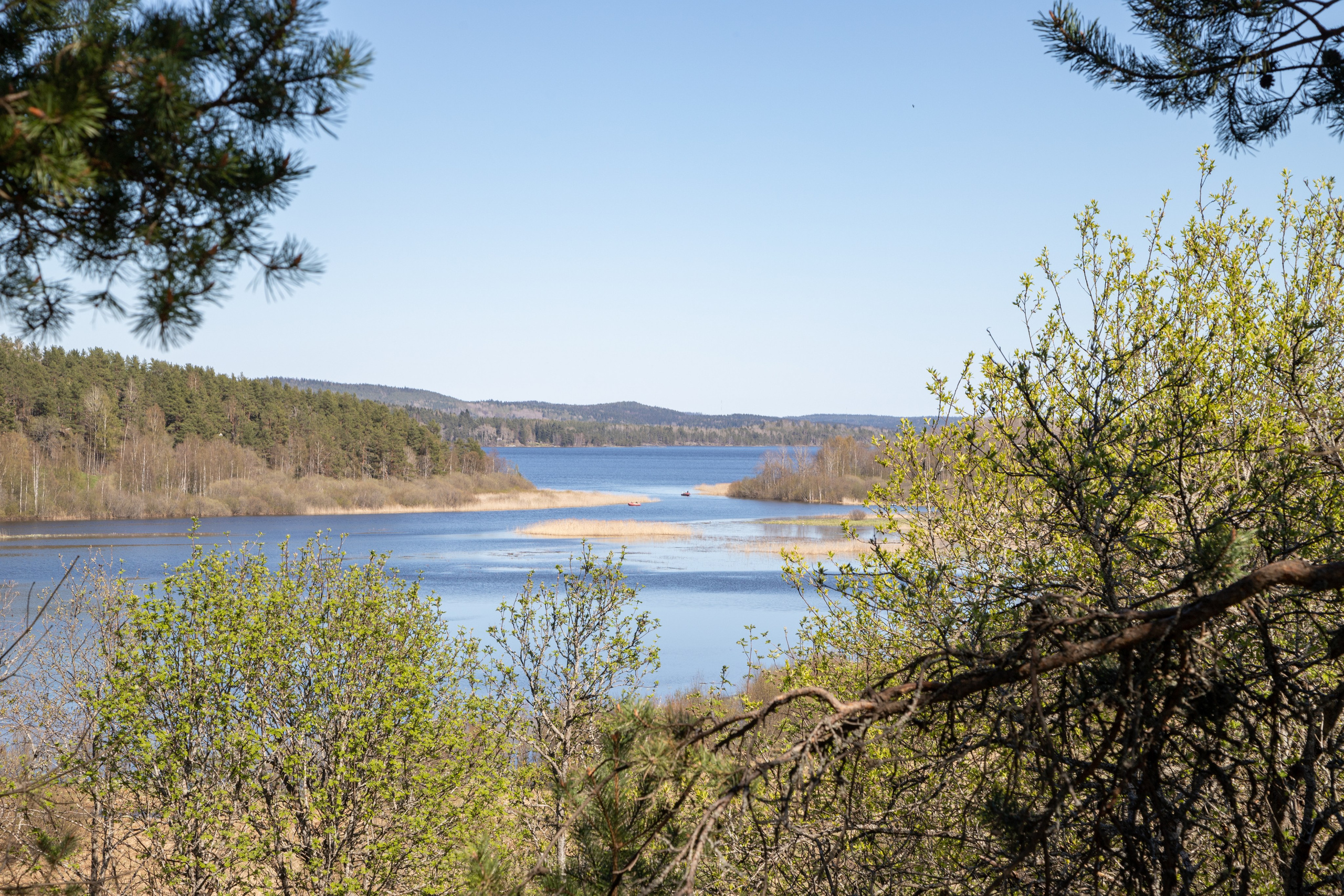 Сортавала. Интерьерный и архитектурный фотограф Солодова Алина