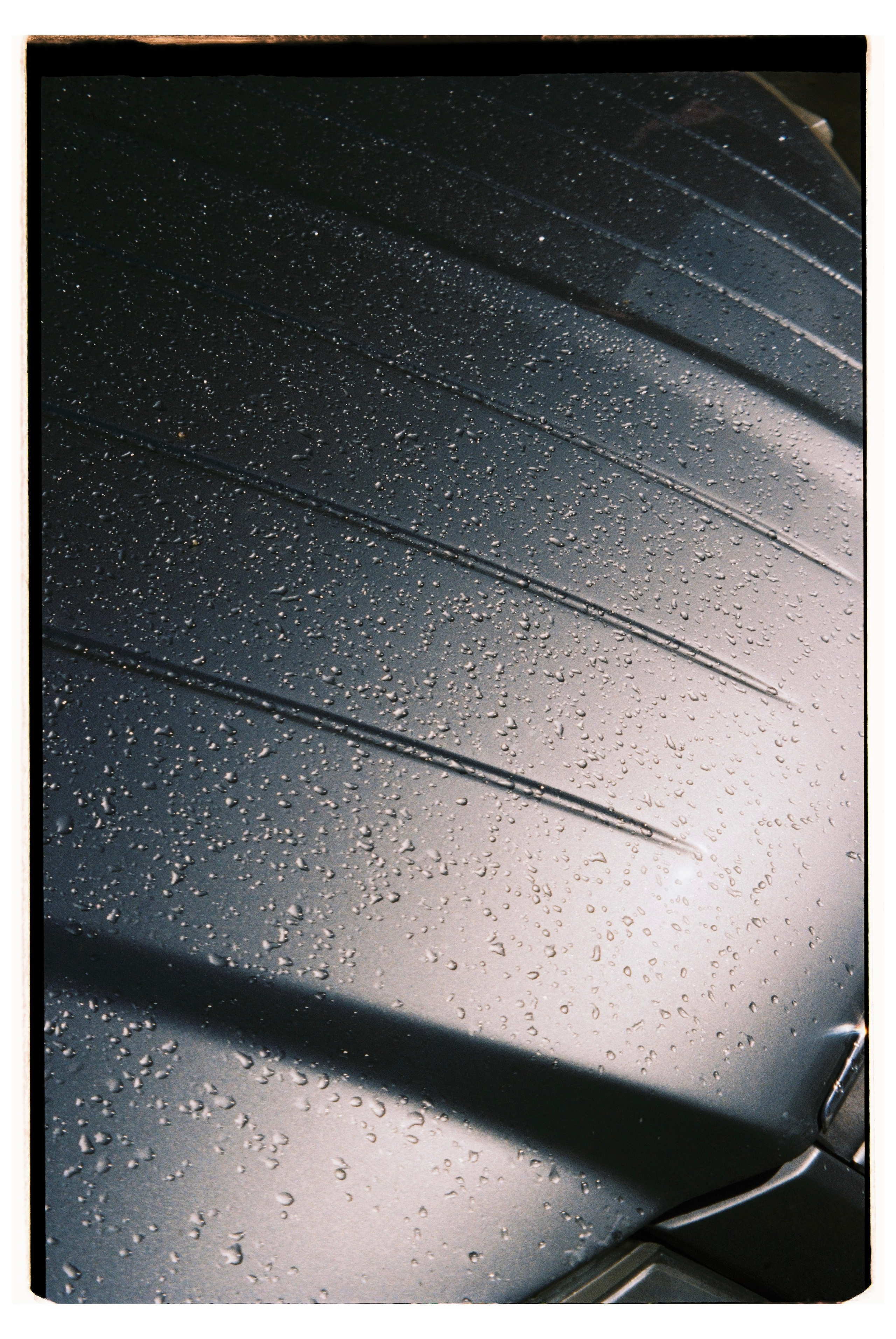 Всякие картинки