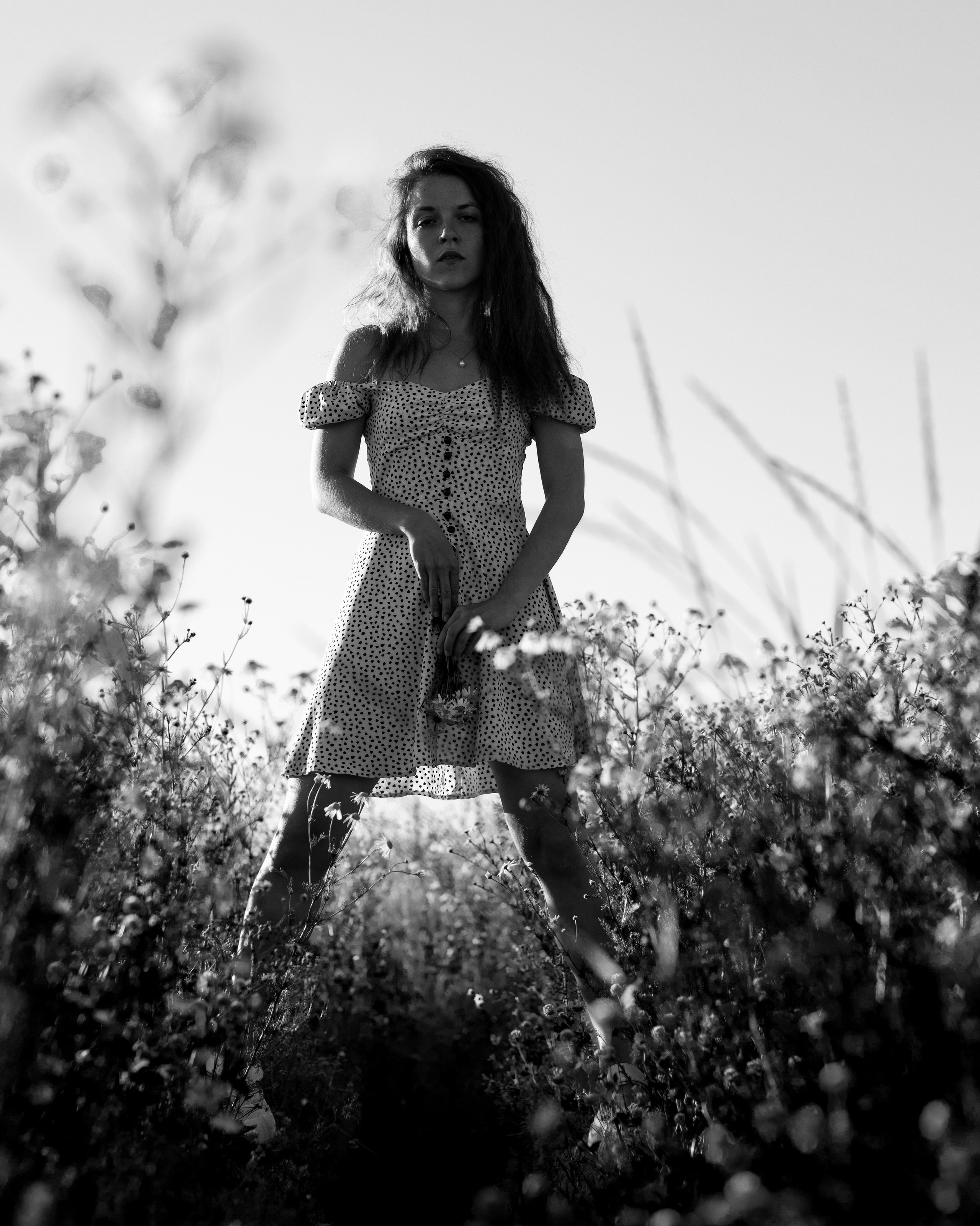 ЧБ ромашки. Портретный фотограф Екатерина Лысенко, Москва