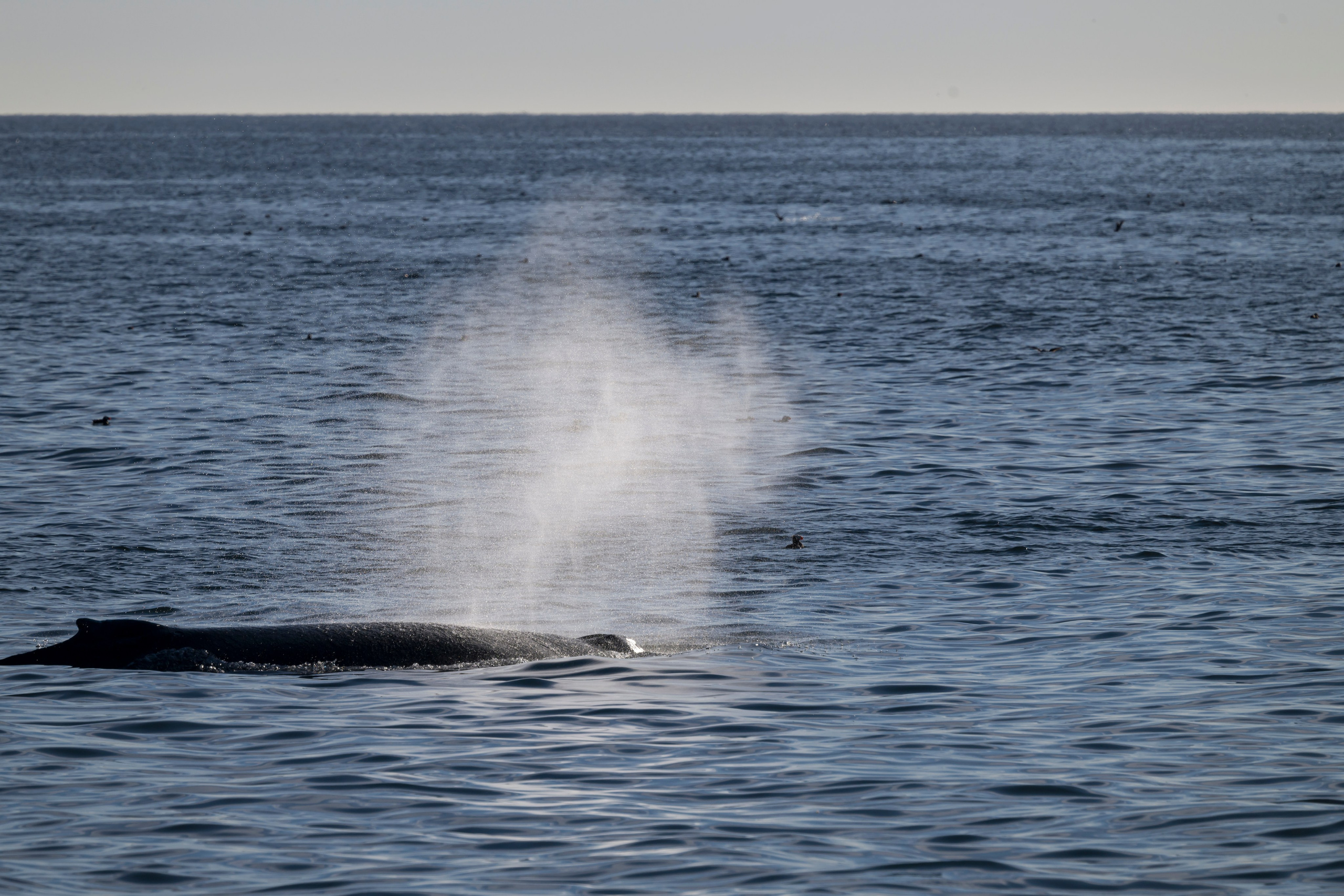 Камчатка. Портретный фотограф в Челябинске Катерина Руди
