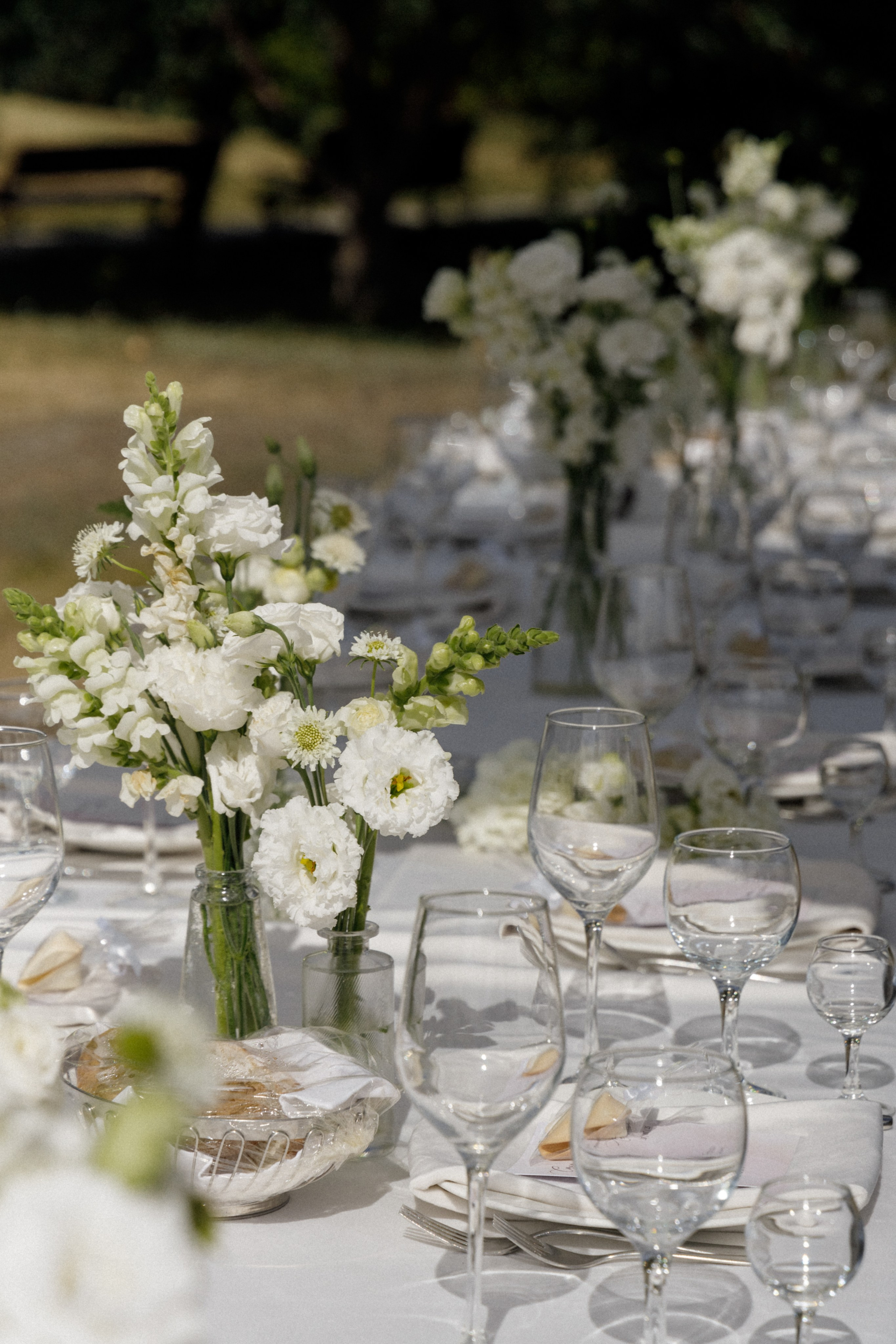 Станислав и Анастасия. Свадебный организатор в Тольятти | Самаре