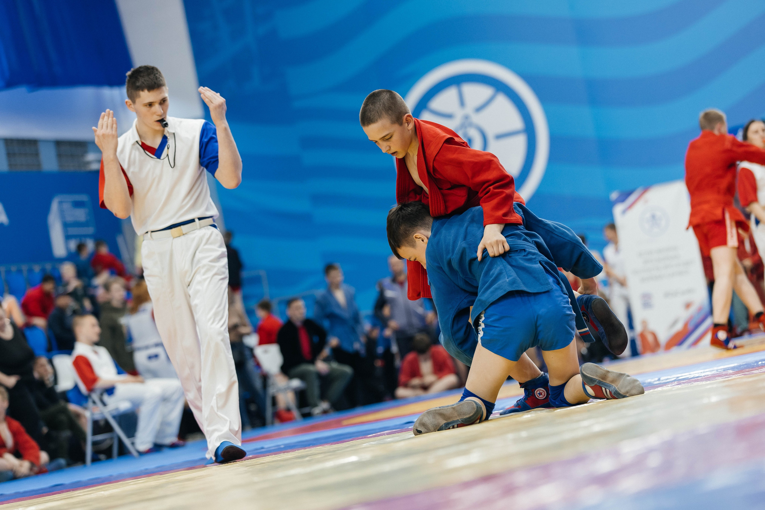 Sambo Championship. Maxim Tsoy Photography