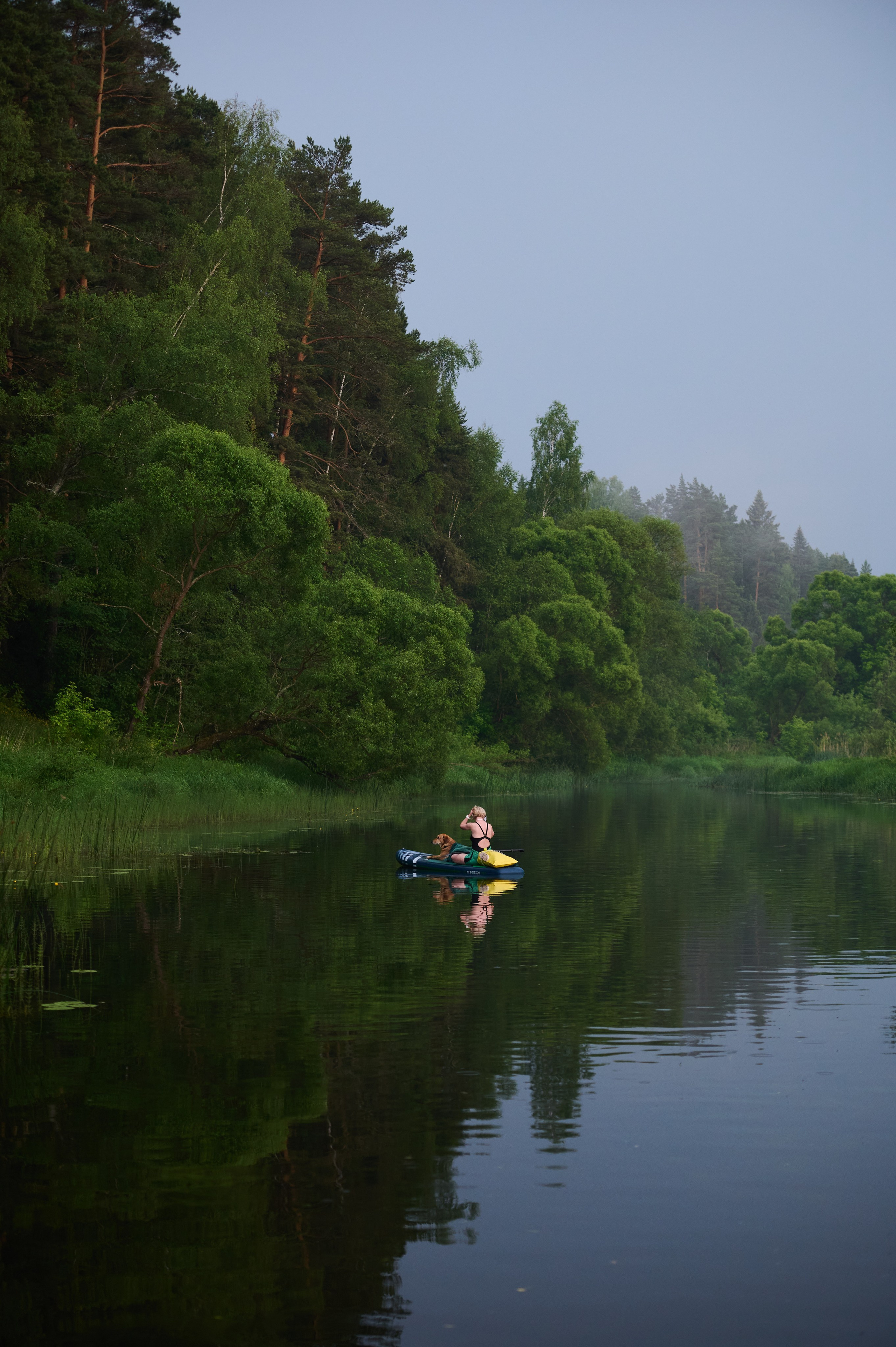 Июнь р. Протва. Главная