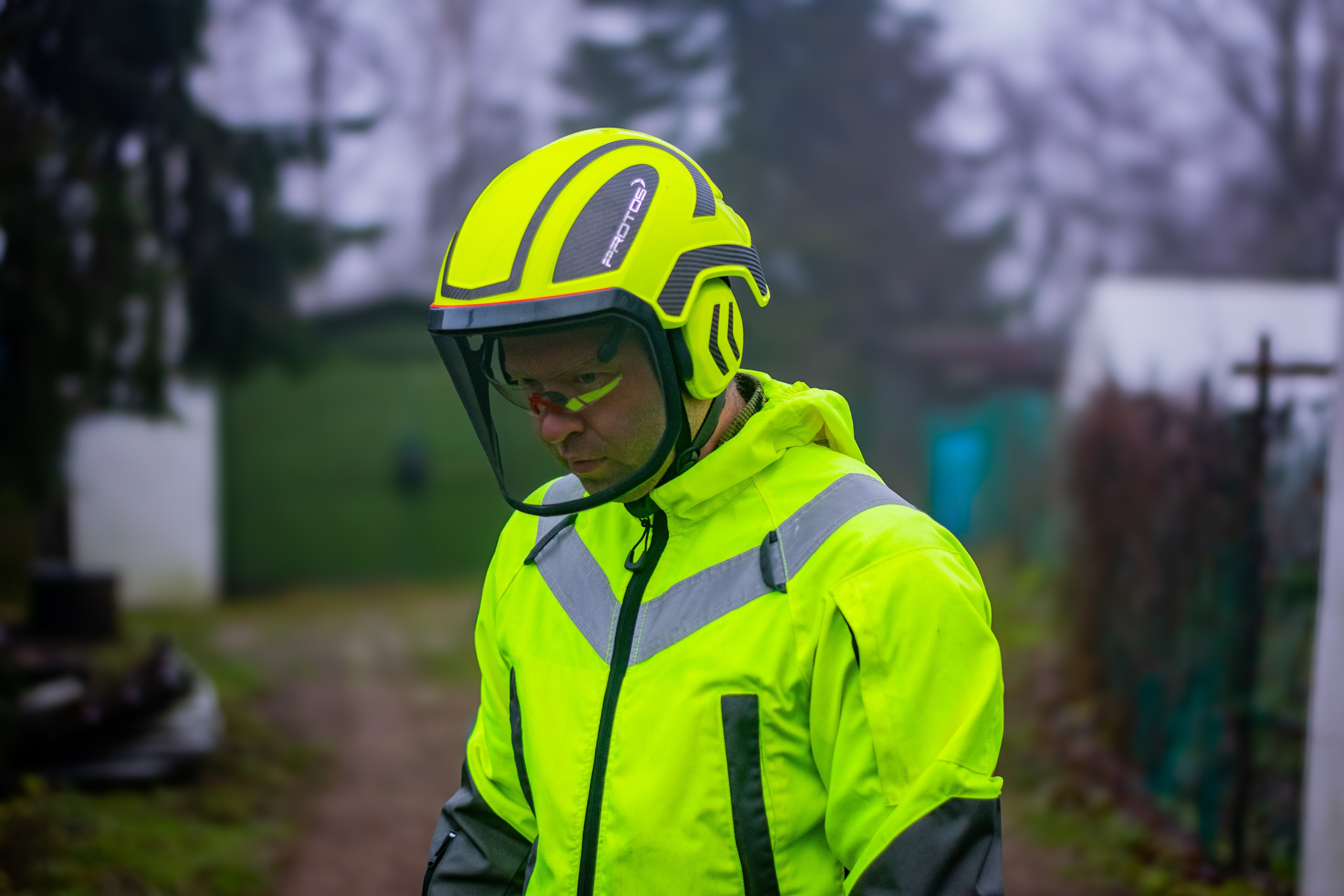 Спил деревьев. Аrbori Culturist