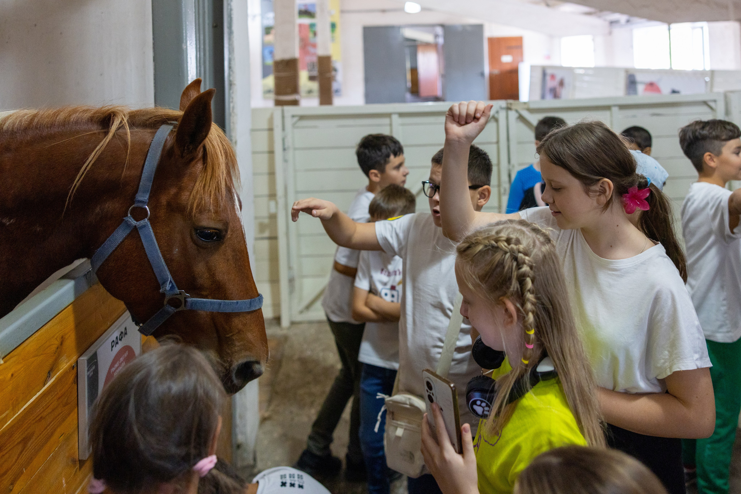 Поездка на поле Кулеково. Фотограф в Туле Крупский АнДРей. Фотостудия «КАДР71» в Туле