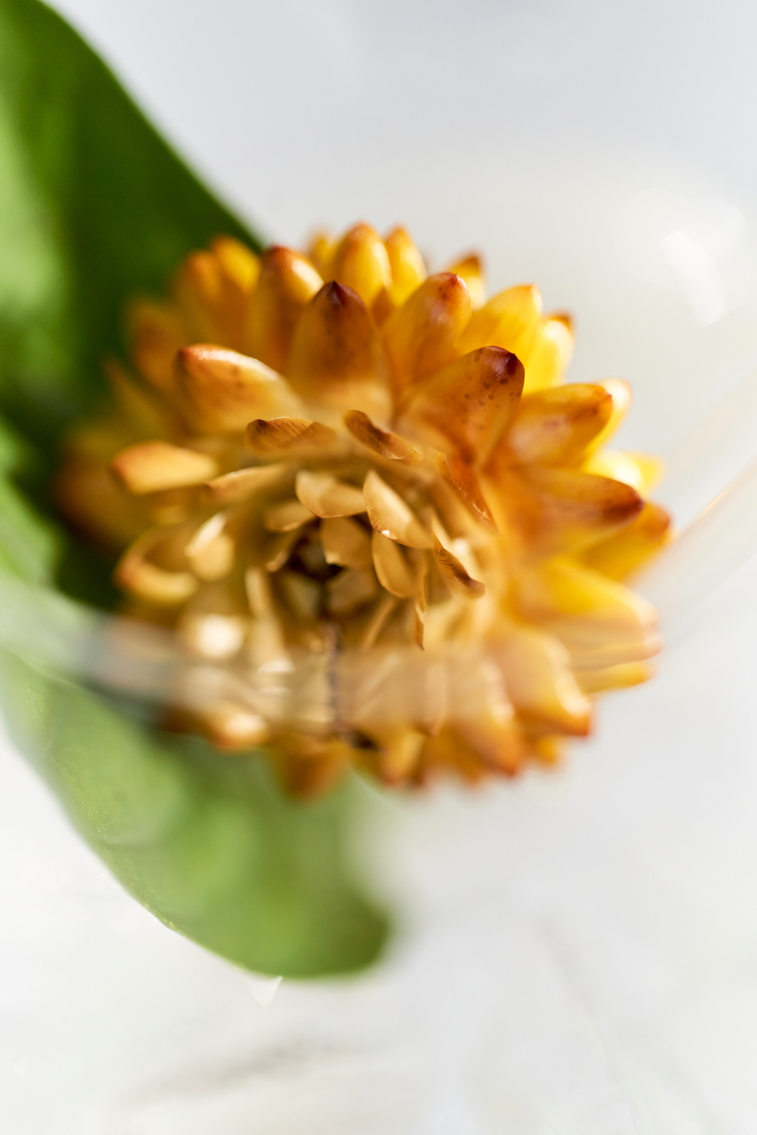 Ресторан «Murmansk». Контент фотограф в Москве Александр Хитько