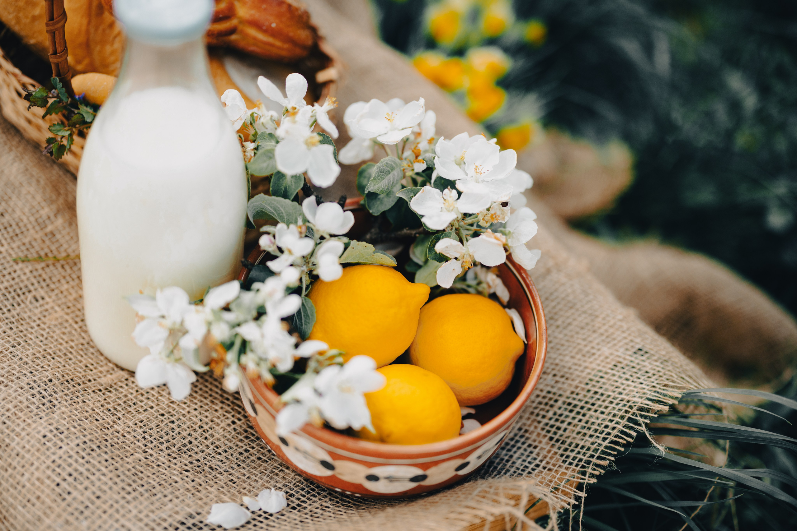 «Пикник с козленком». Свадебный и семейный фотограф в Рязани Датская Ксения