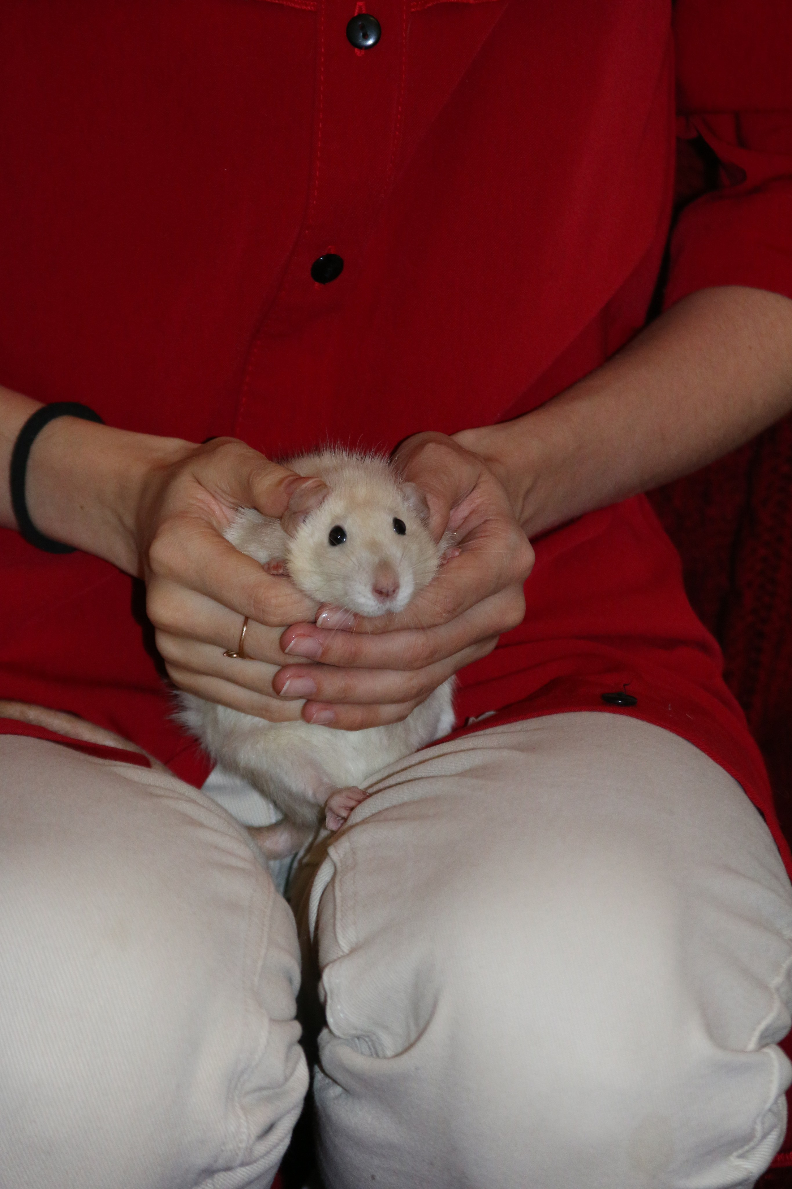 Съемка с питомцем