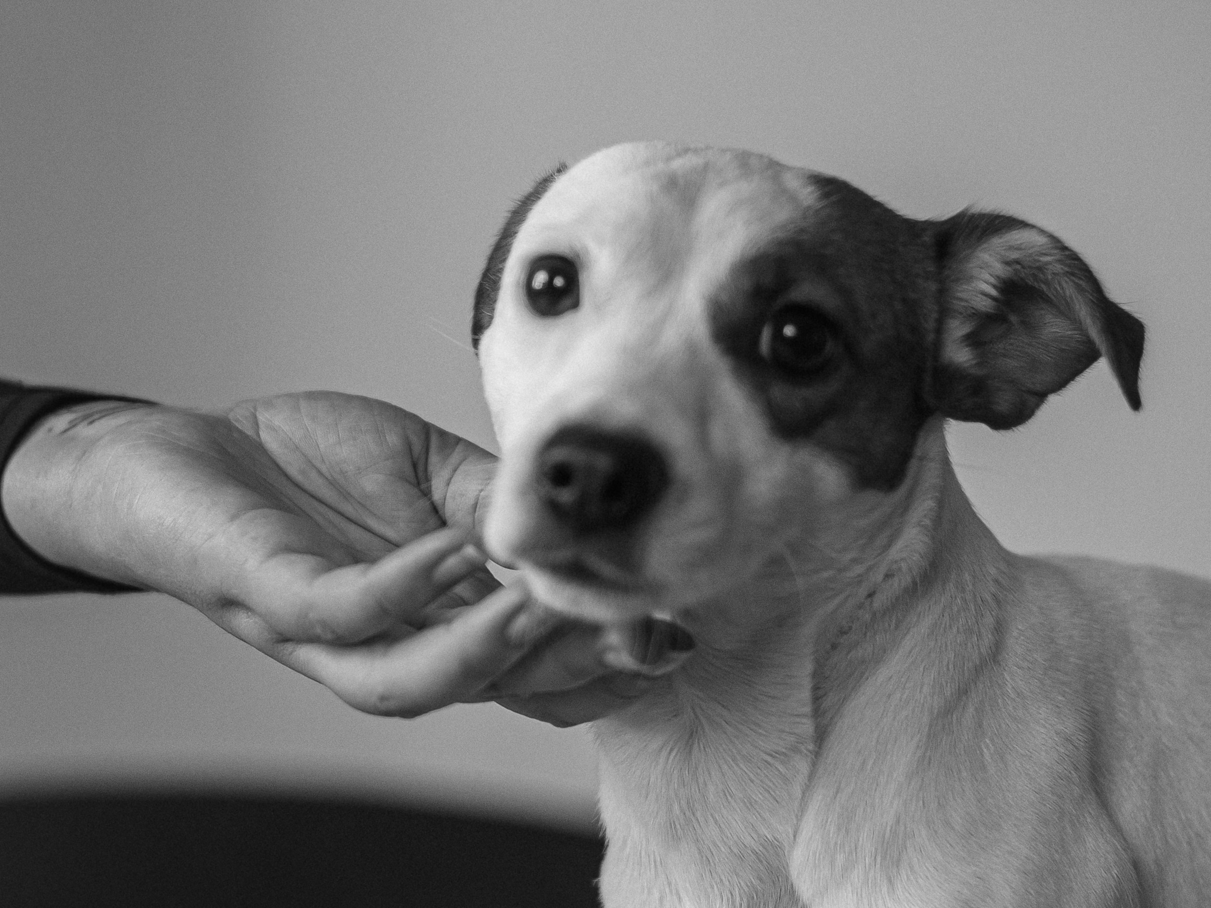 Дарья Разон. Фотограф Любовь Подосенова Липецк|Воронеж