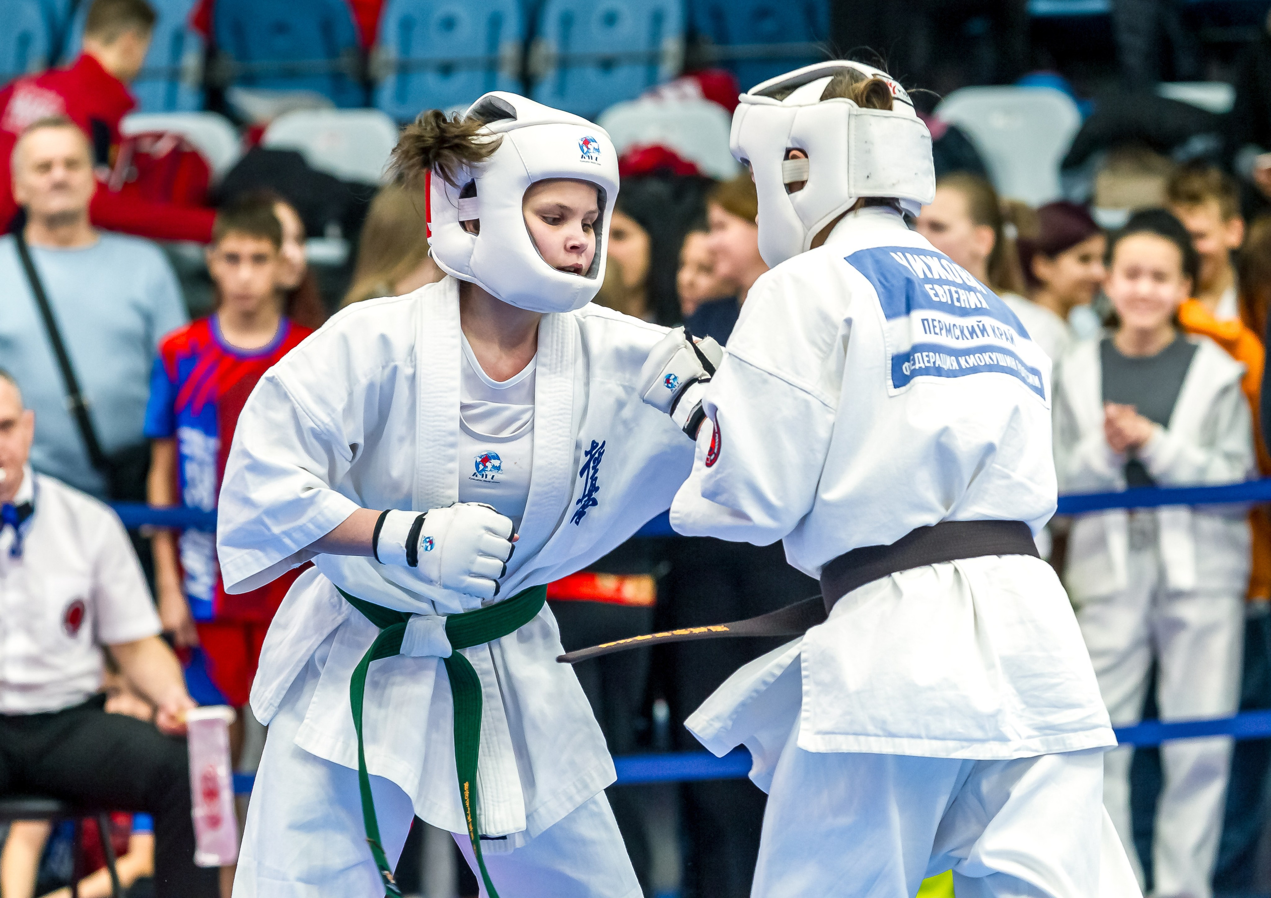 Соревнования по Киокушин памяти С. Увицкого. Репортажная съемка в Москве и области. Анималистика