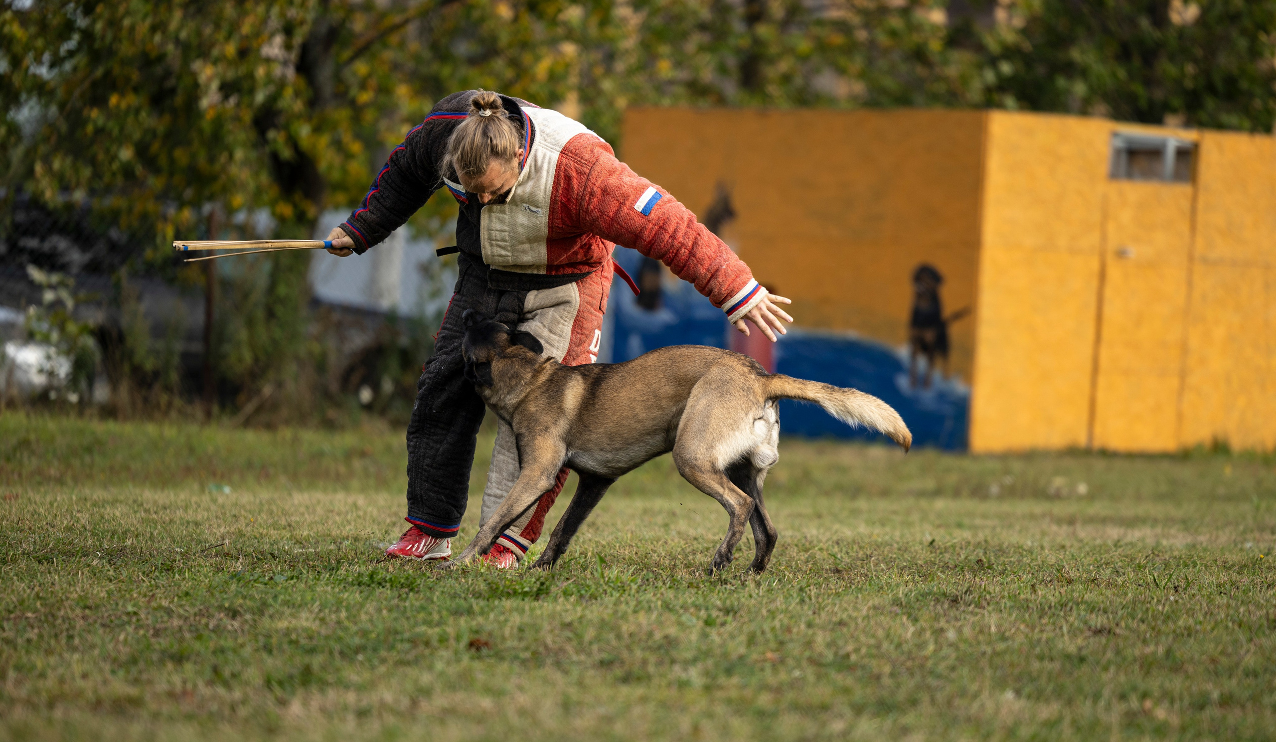Испытания по Мондьорингу г. Пушкин. Фотограф-анималист Анна Маринич