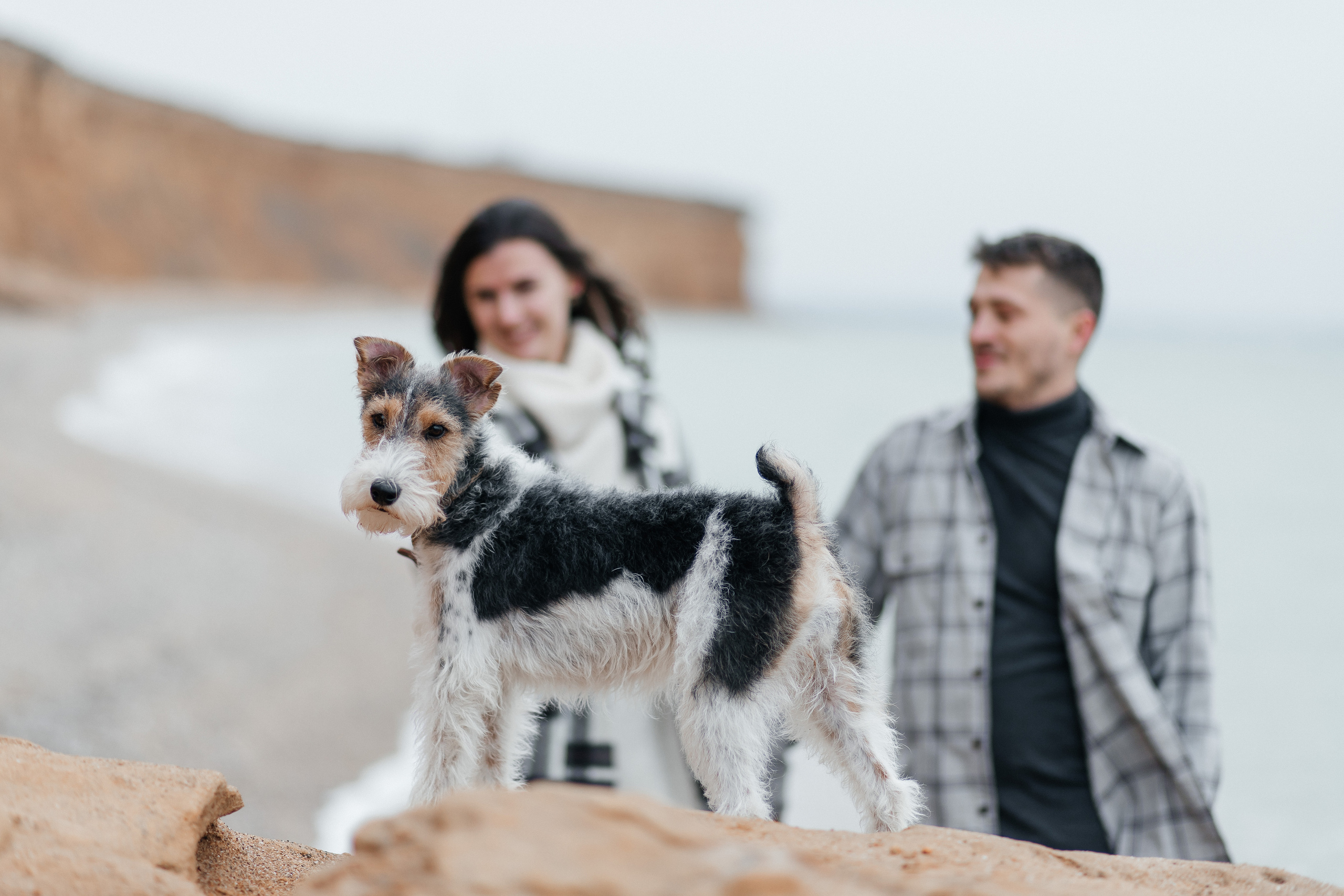 Лиза, Сережа и Чара!. Свадебный и семейный фотограф в Севастополе и в Крыму Анастасия Корчак