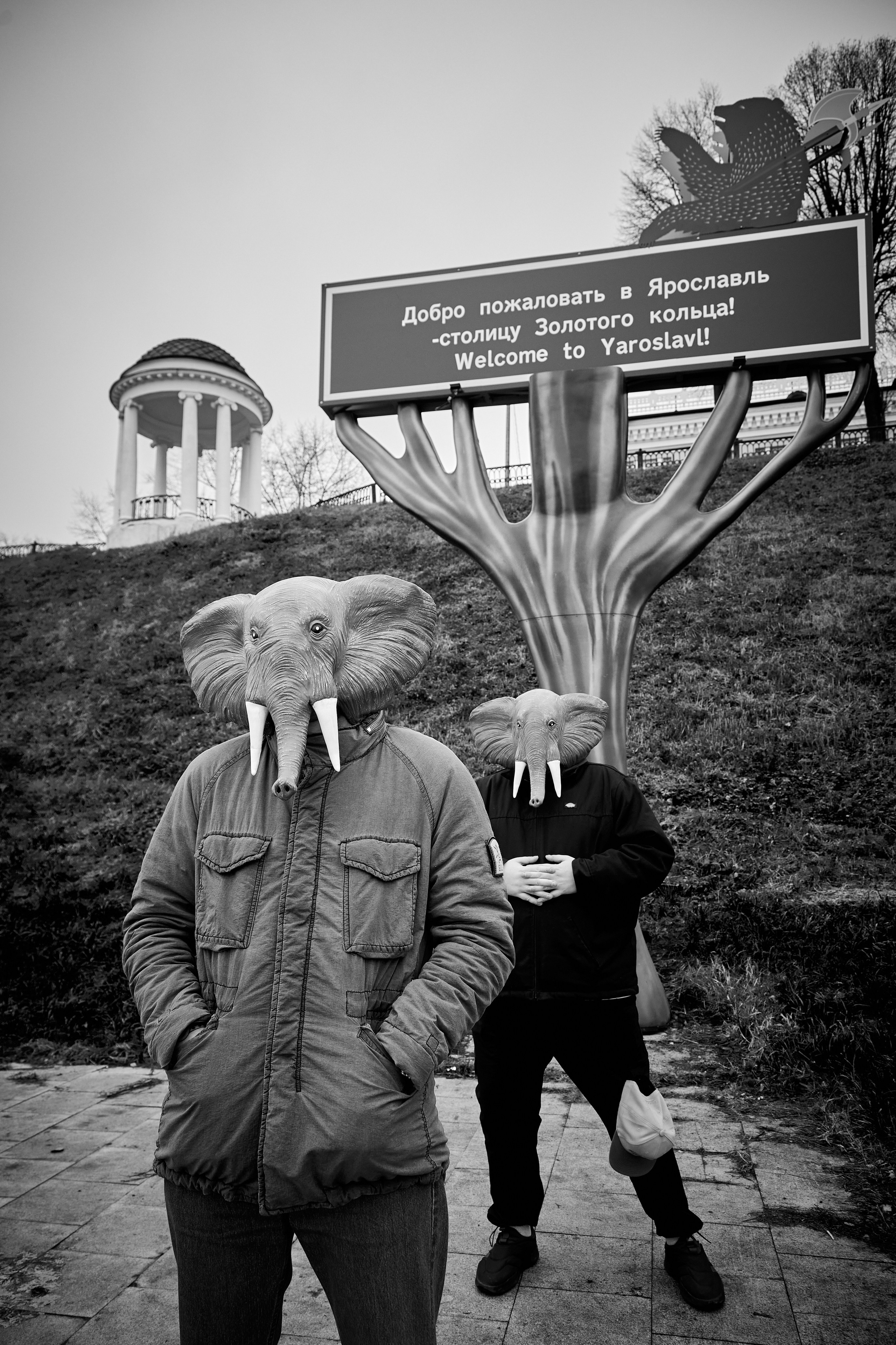 2 Слона. Портретный фотограф Евгений Денисов