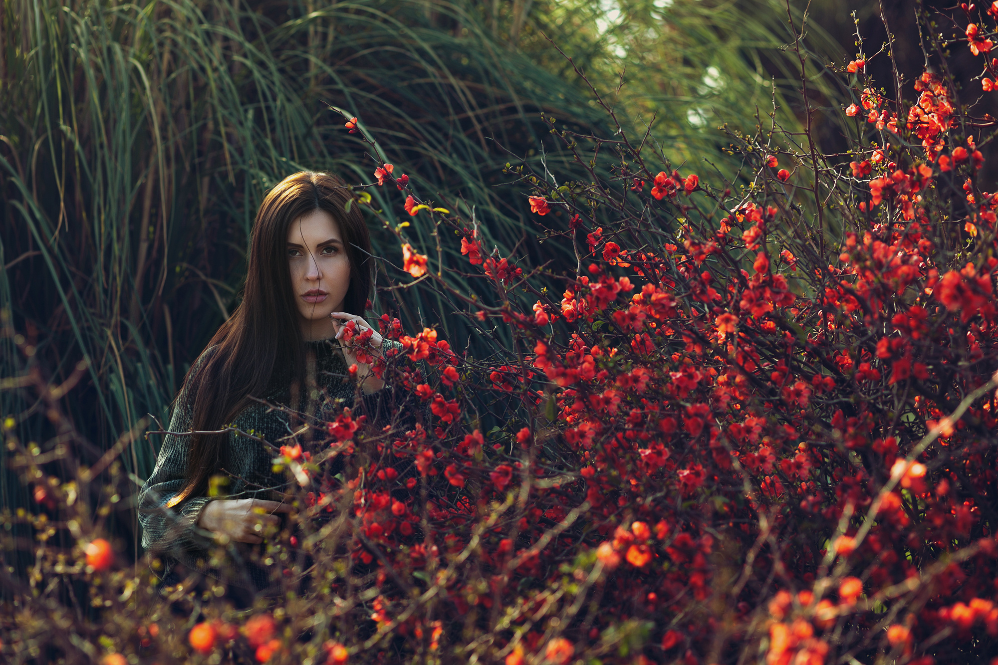 Цветы. Профессиональный фотограф в Краснодаре Татьяна Корченкина