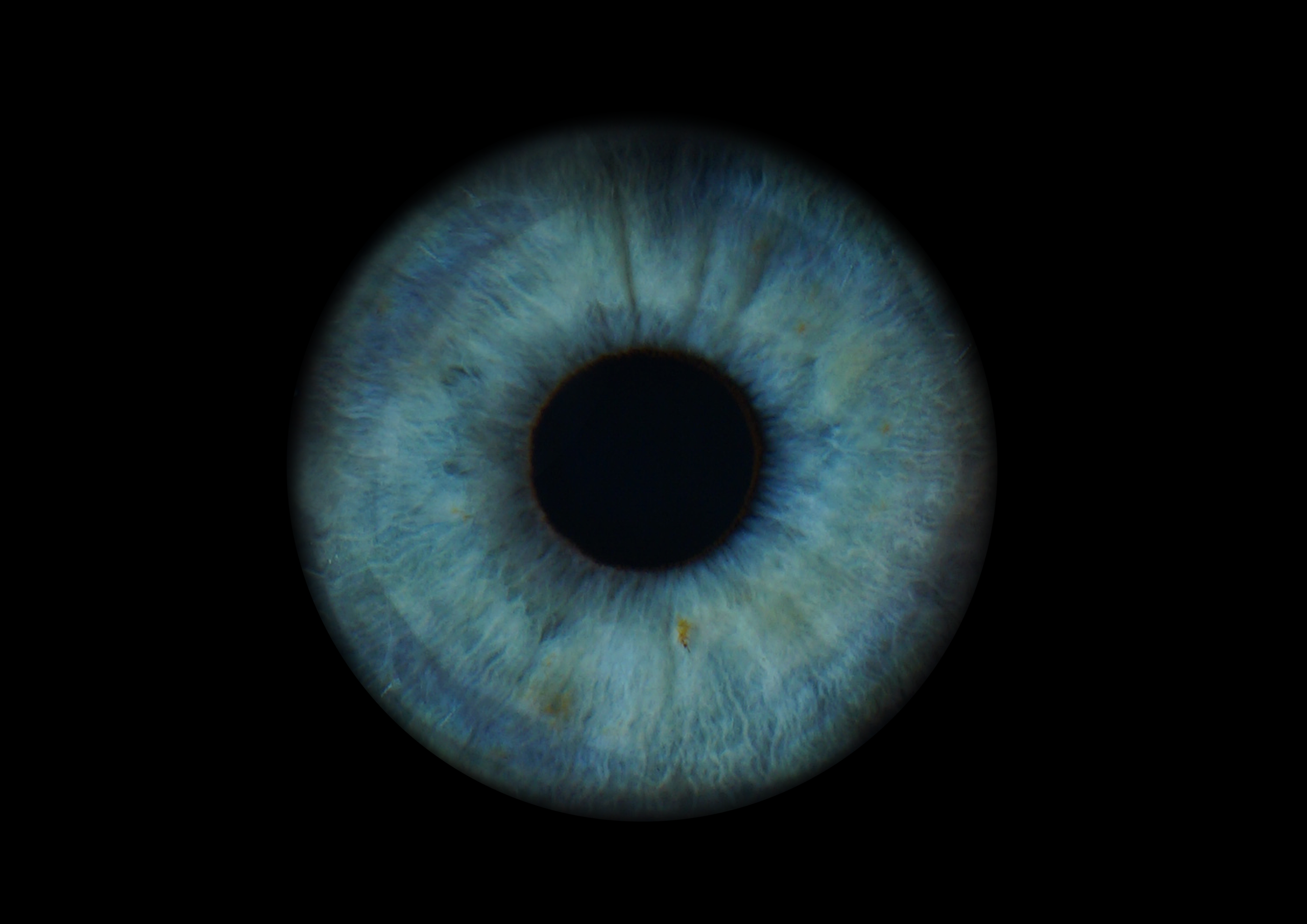 Наталья 11021630. ShowLab