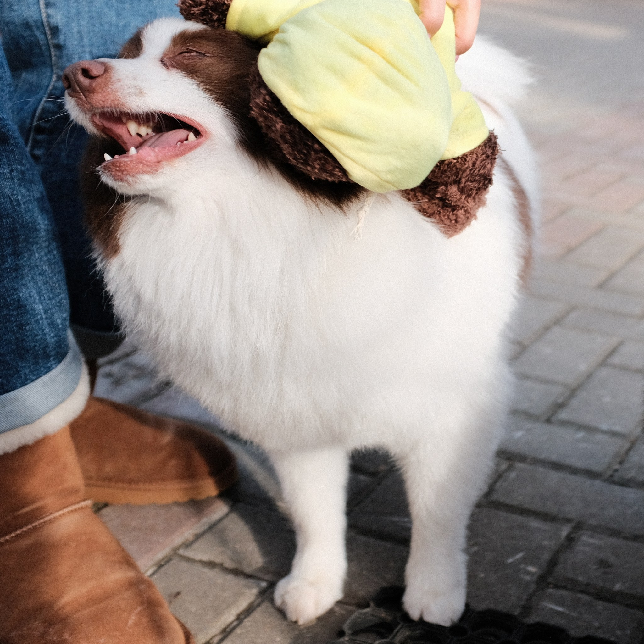 Аляска, Чарли, Пати и их люди. Дмитрий Бречалов