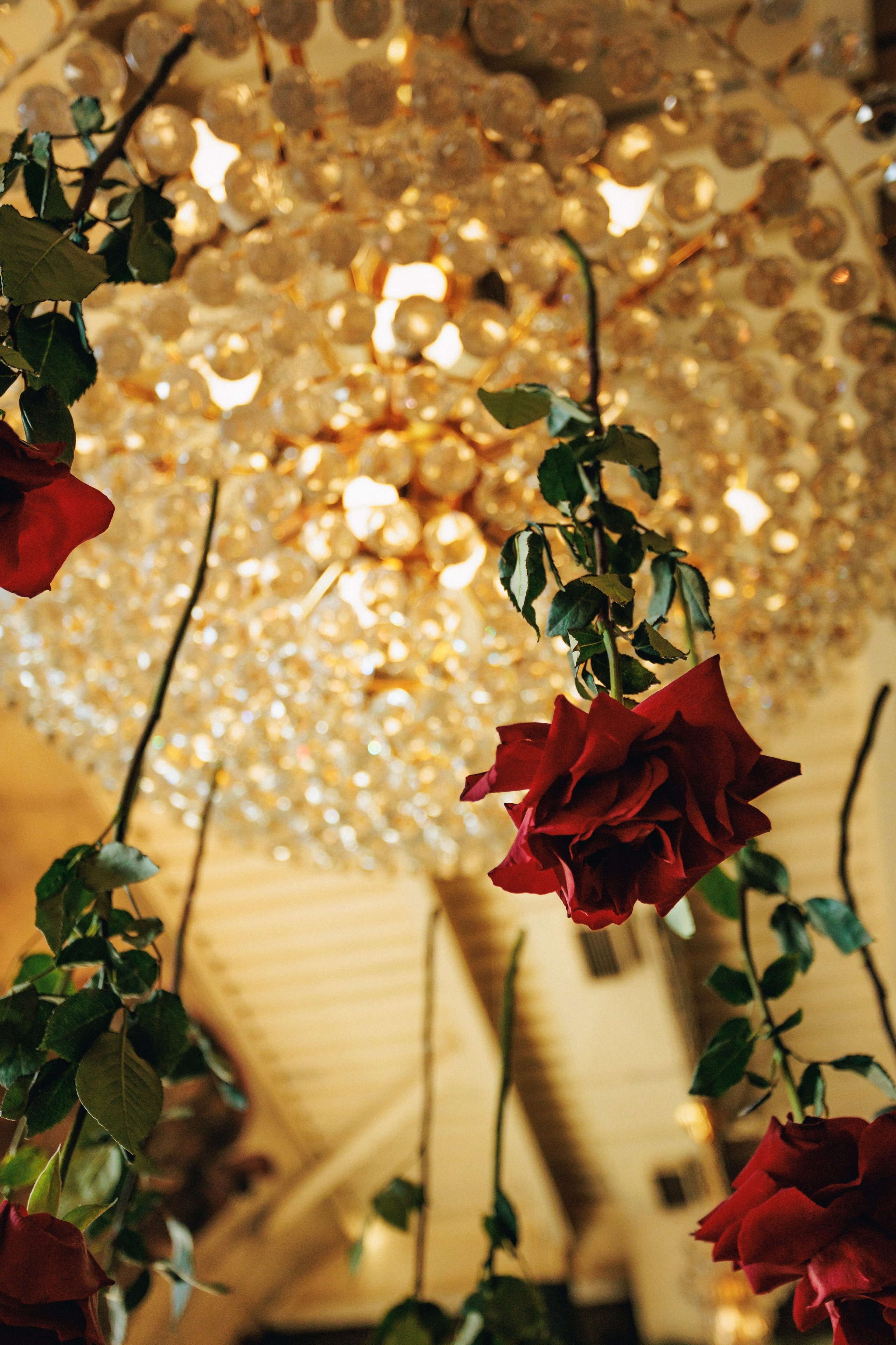 Фотограф Батурин Илья г. Красноярск