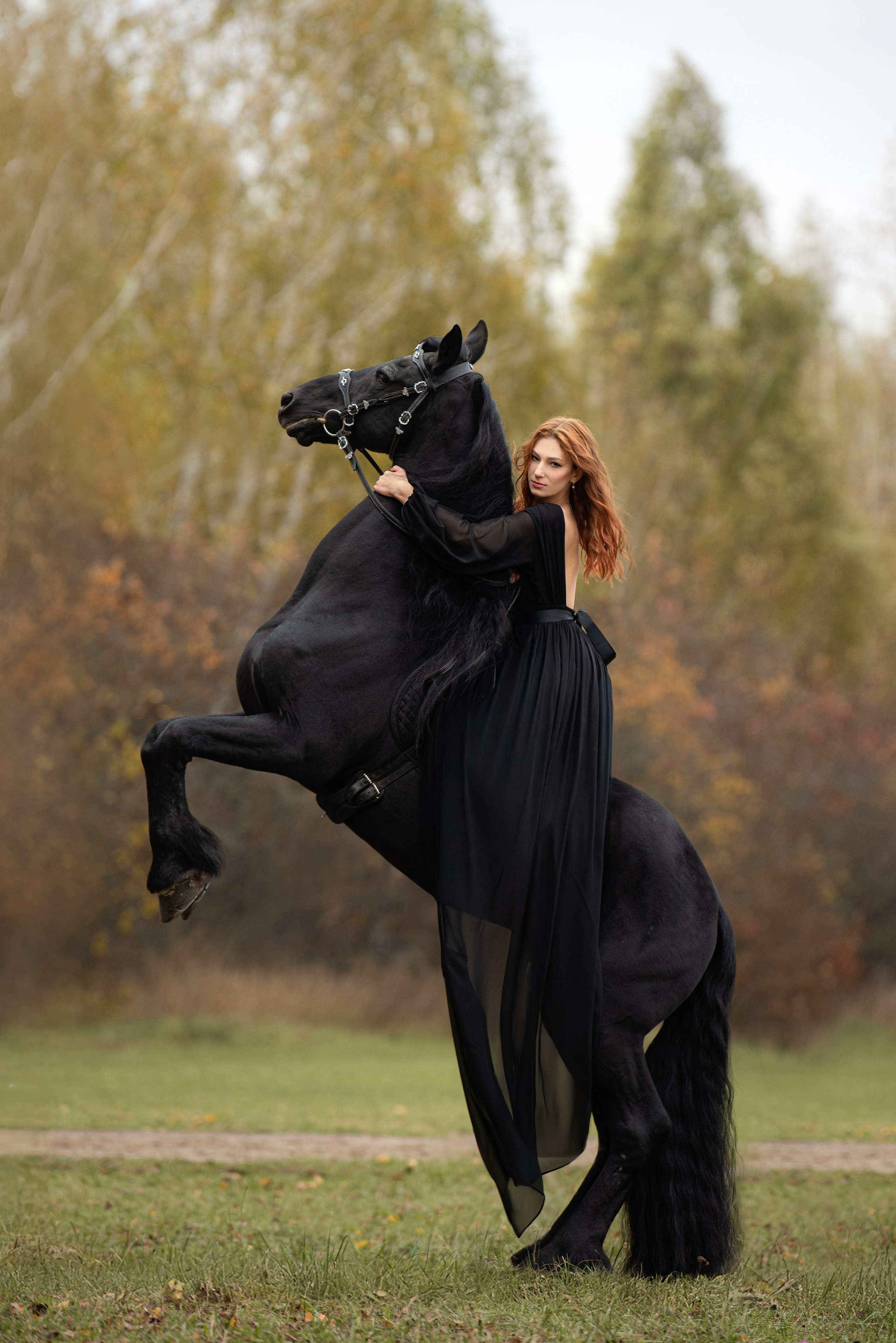 Премиальная фотосессия с лошадьми в Подмосковье