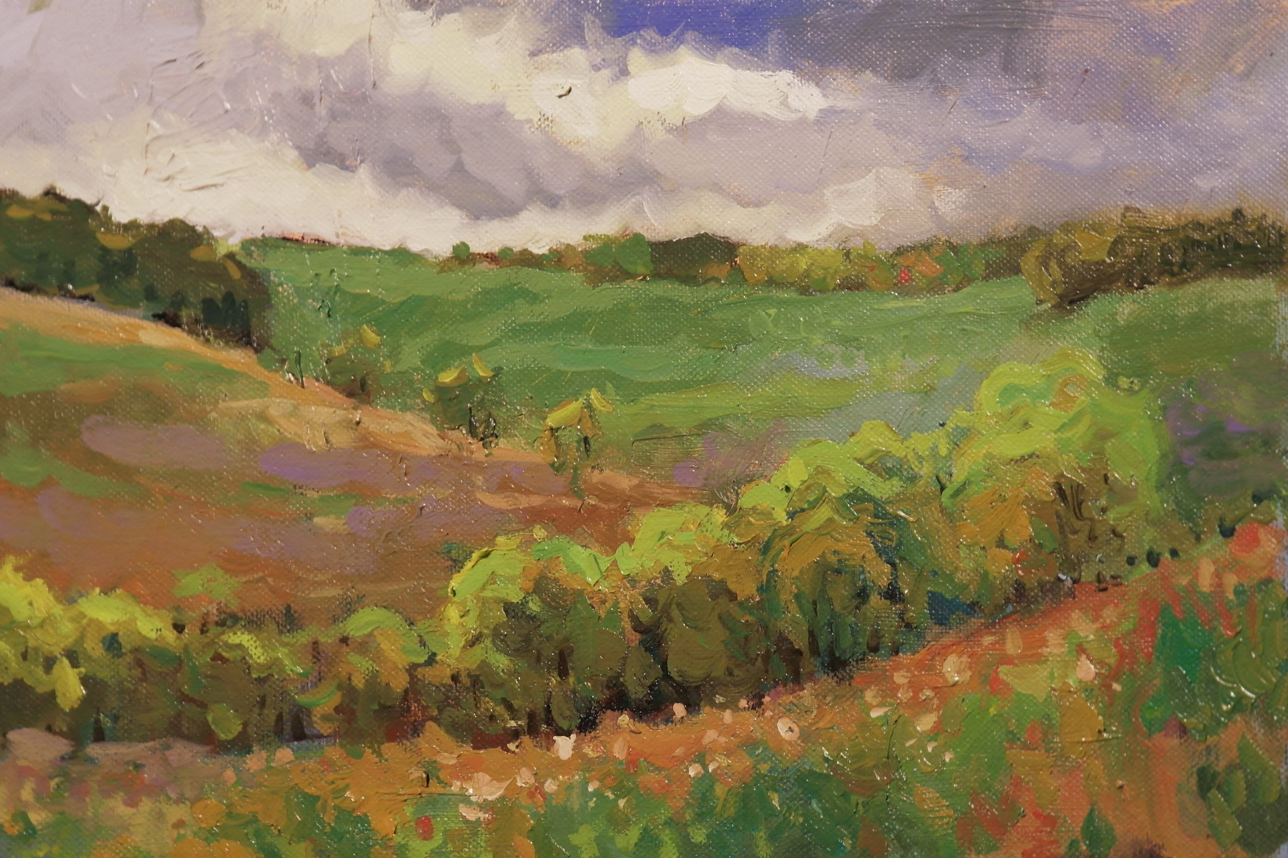 Этюды. Paintings by the artist Sergey Ratchin