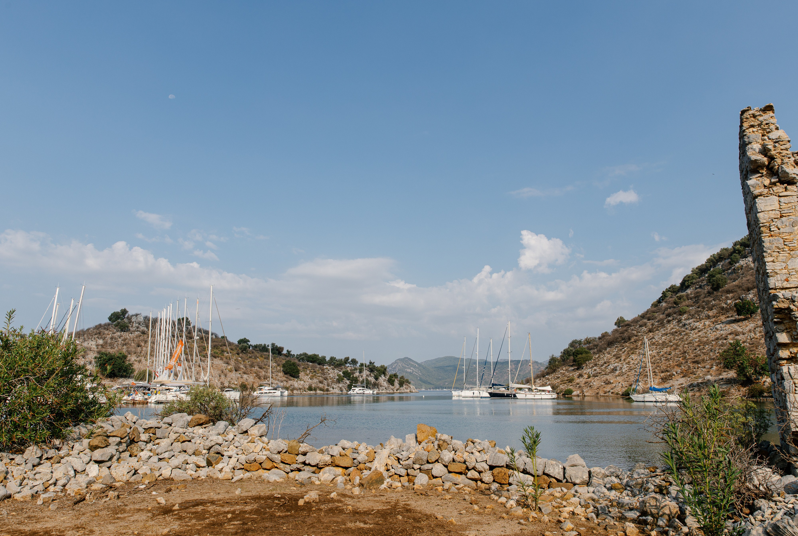 Фармрегата. Свадебный фотограф Москва Анна Шилова