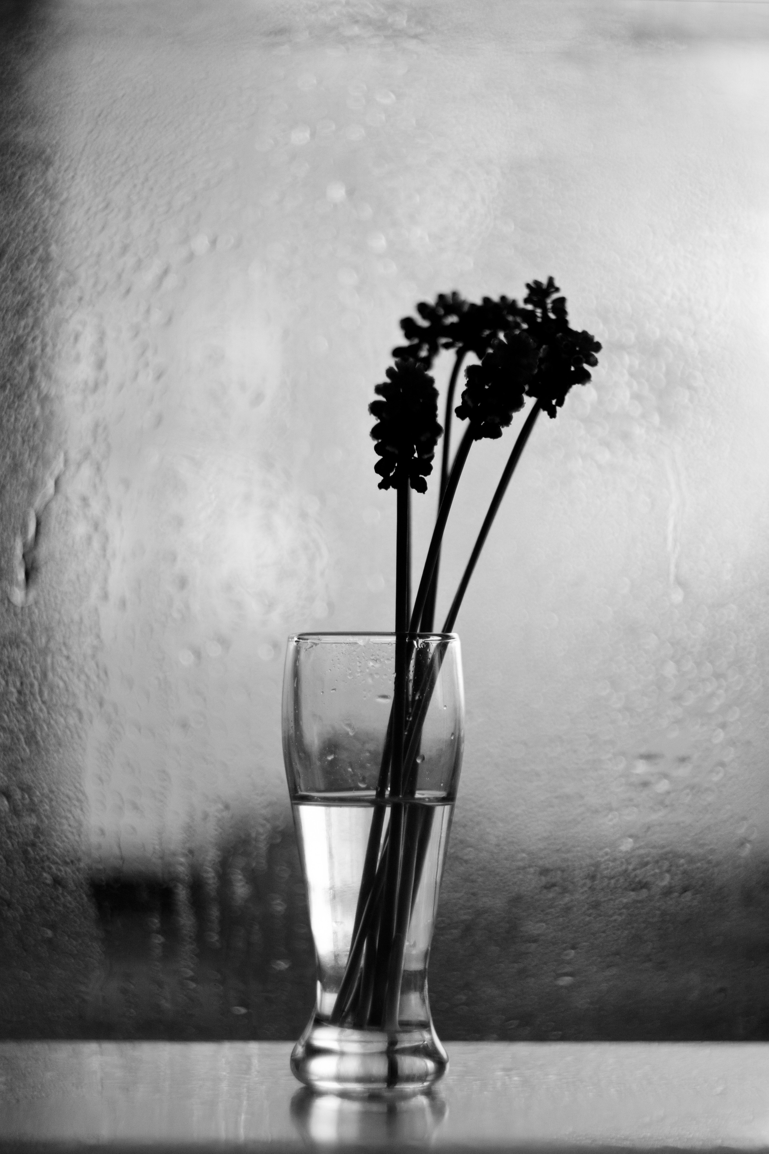 Другое. Фотограф-ретушер Анастасия Суровцева